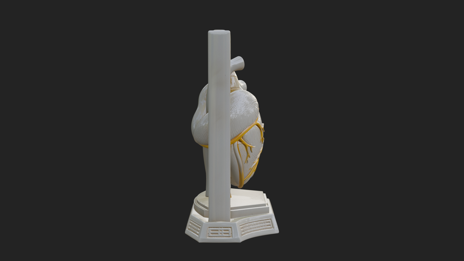 Anatomical Human Heart Model Design 22 3D Print Model 3D Model