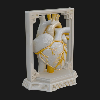Anatomical Human Heart Model Design 22 3D Print Model