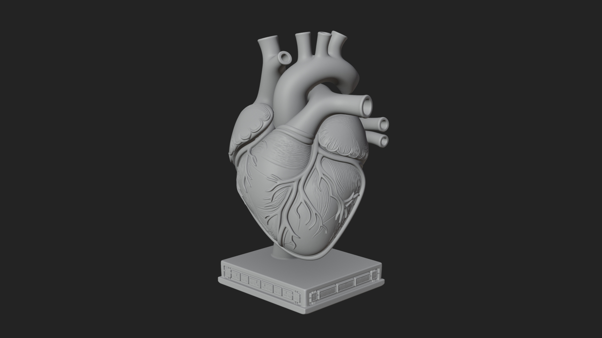 Anatomical Human Heart Model Design 23 3D Print Model 3D Model