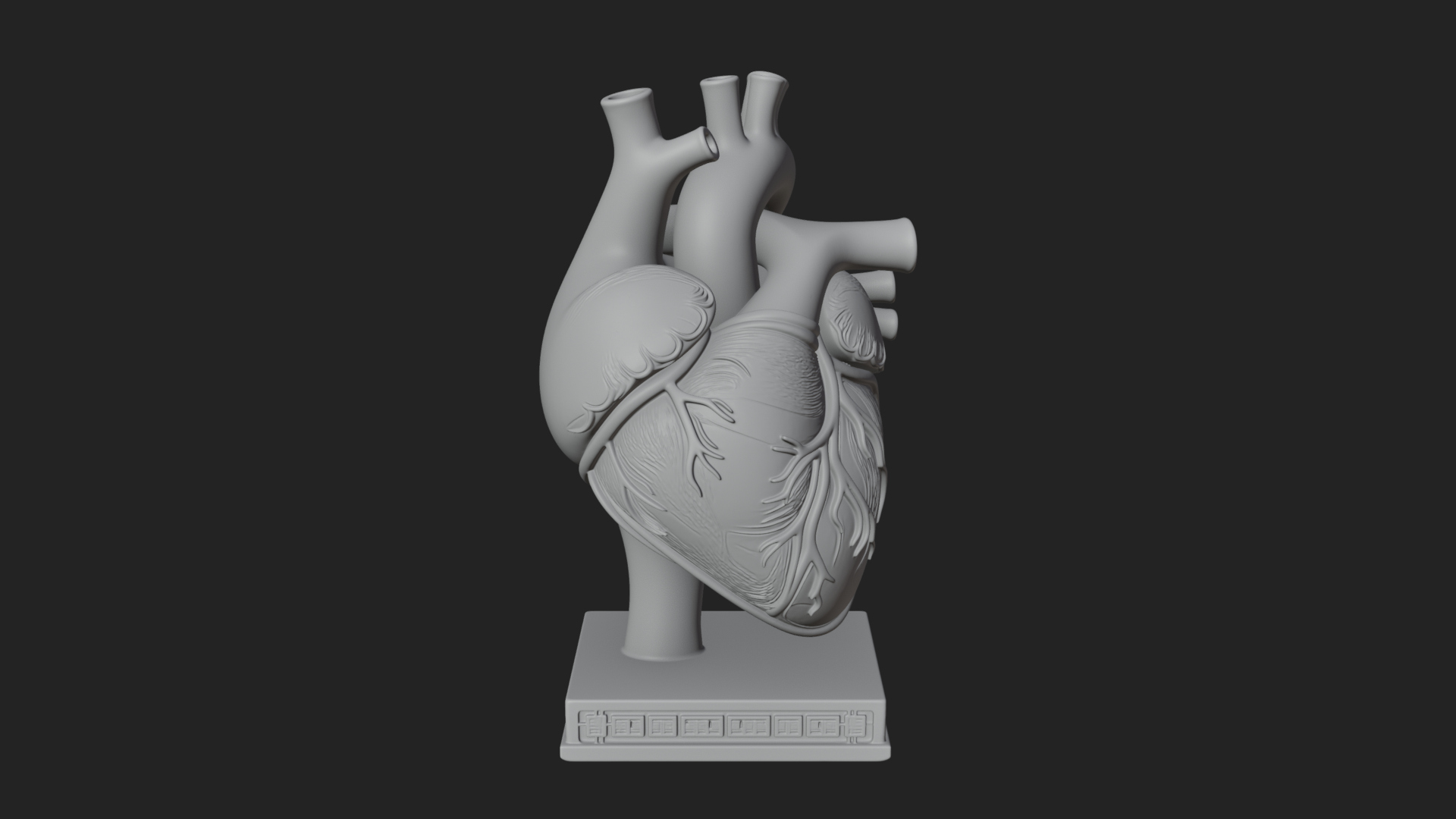 Anatomical Human Heart Model Design 23 3D Print Model 3D Model
