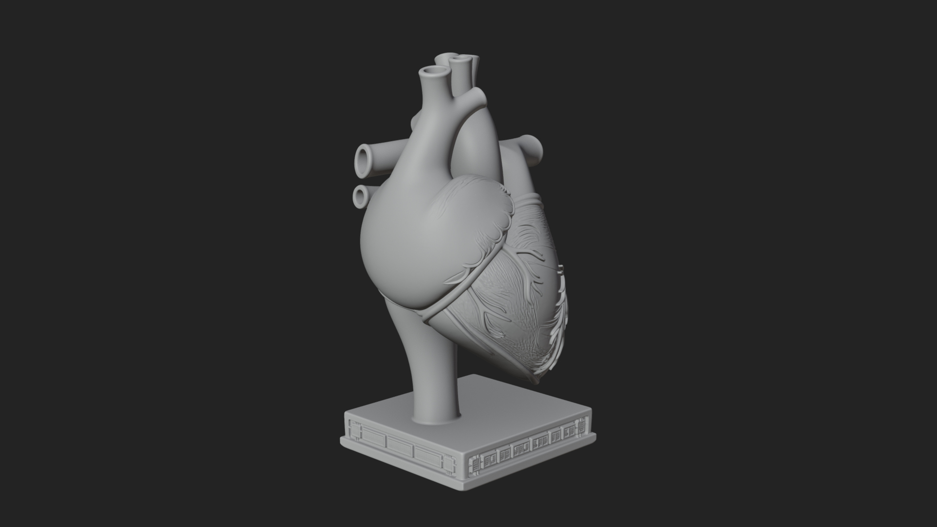 Anatomical Human Heart Model Design 23 3D Print Model 3D Model