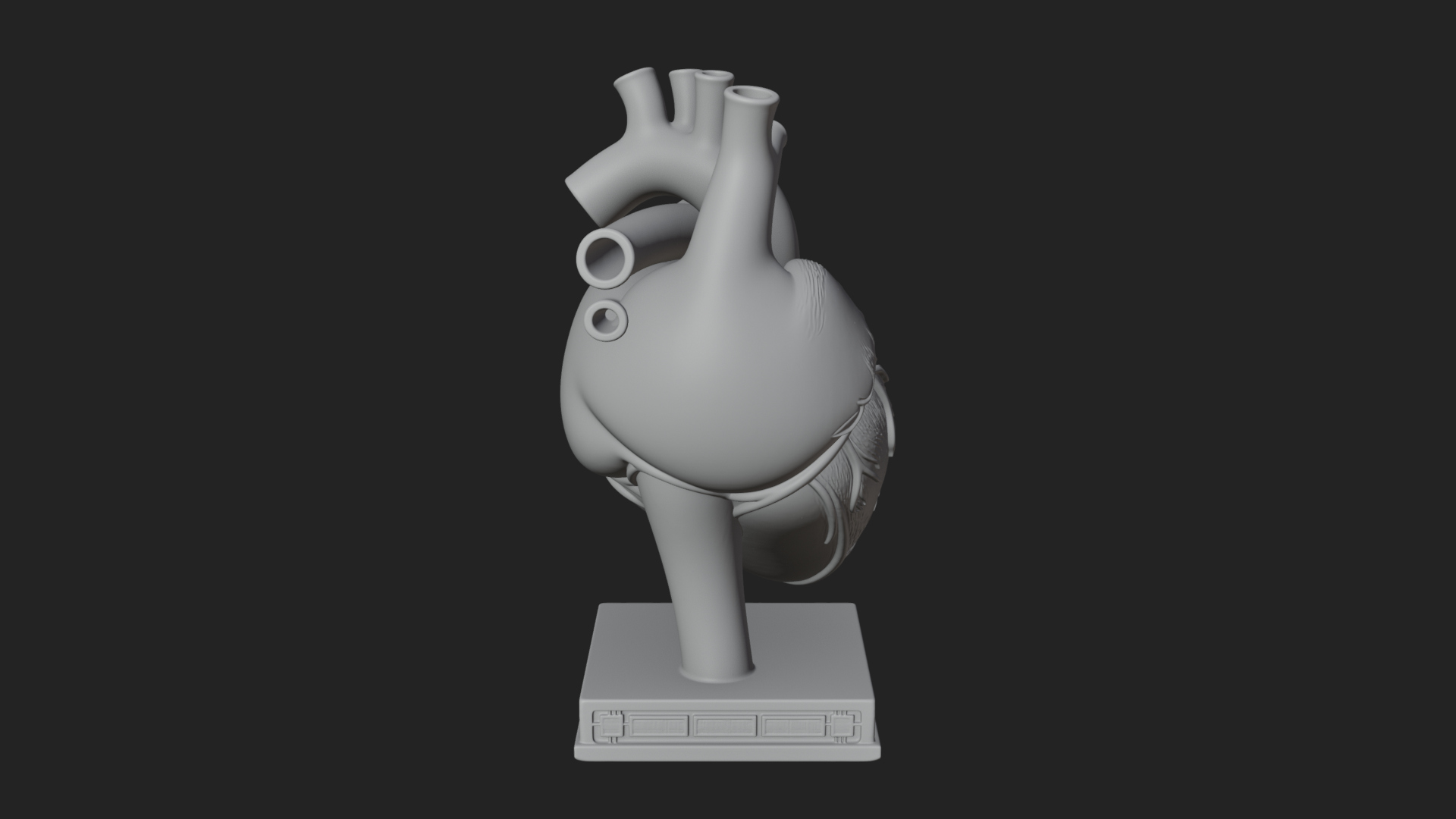 Anatomical Human Heart Model Design 23 3D Print Model 3D Model