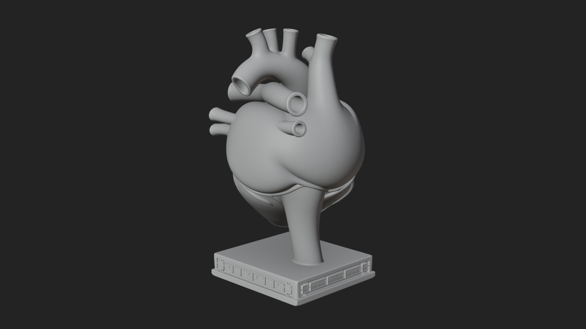 Anatomical Human Heart Model Design 23 3D Print Model 3D Model
