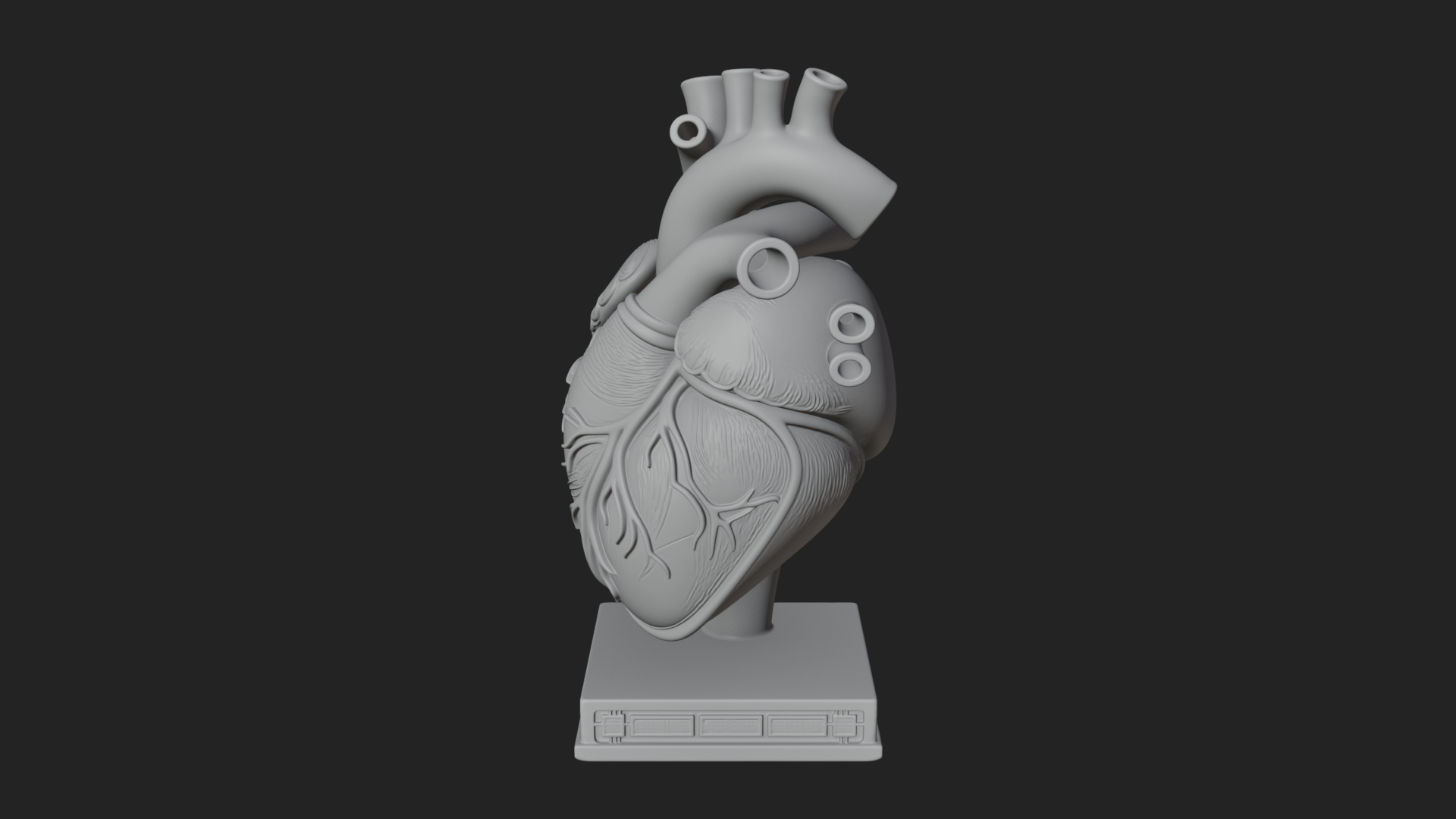 Anatomical Human Heart Model Design 23 3D Print Model 3D Model