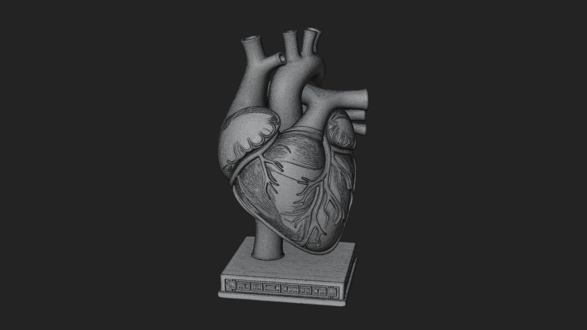Anatomical Human Heart Model Design 23 3D Print Model 3D Model