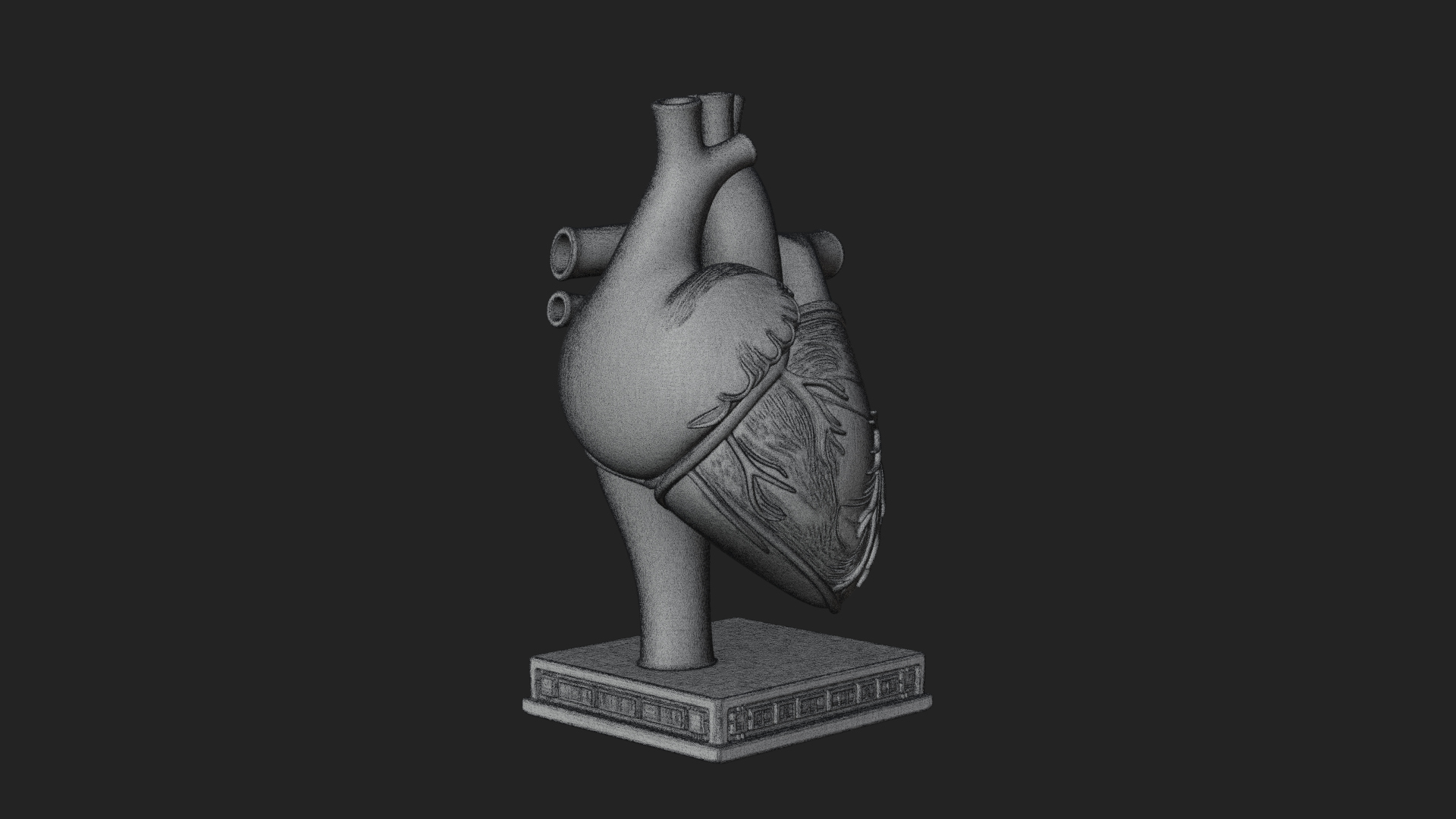 Anatomical Human Heart Model Design 23 3D Print Model 3D Model