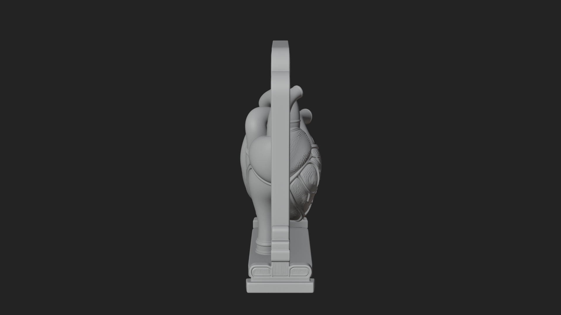 Anatomical Human Heart Model Design 24 3D Print Model 3D Model