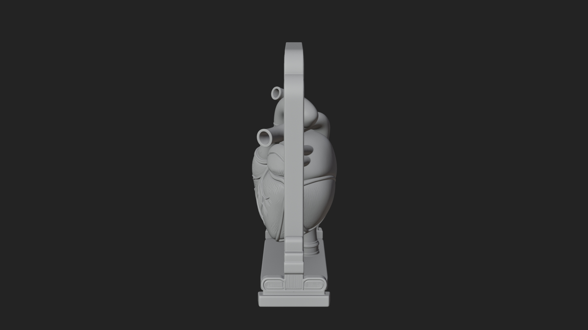 Anatomical Human Heart Model Design 24 3D Print Model 3D Model