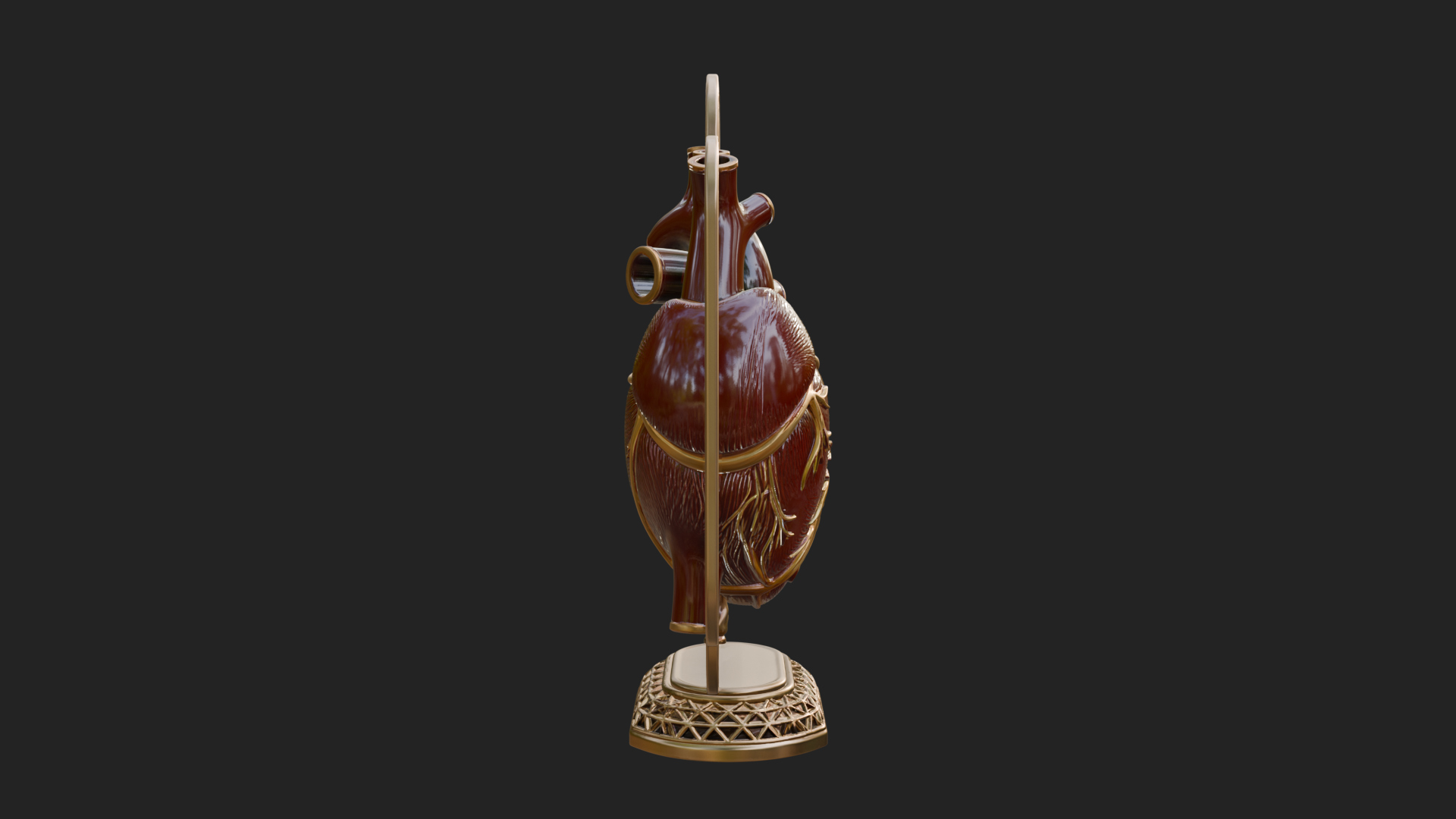 Anatomical Human Heart Model Design 25 3D Print Model 3D Model