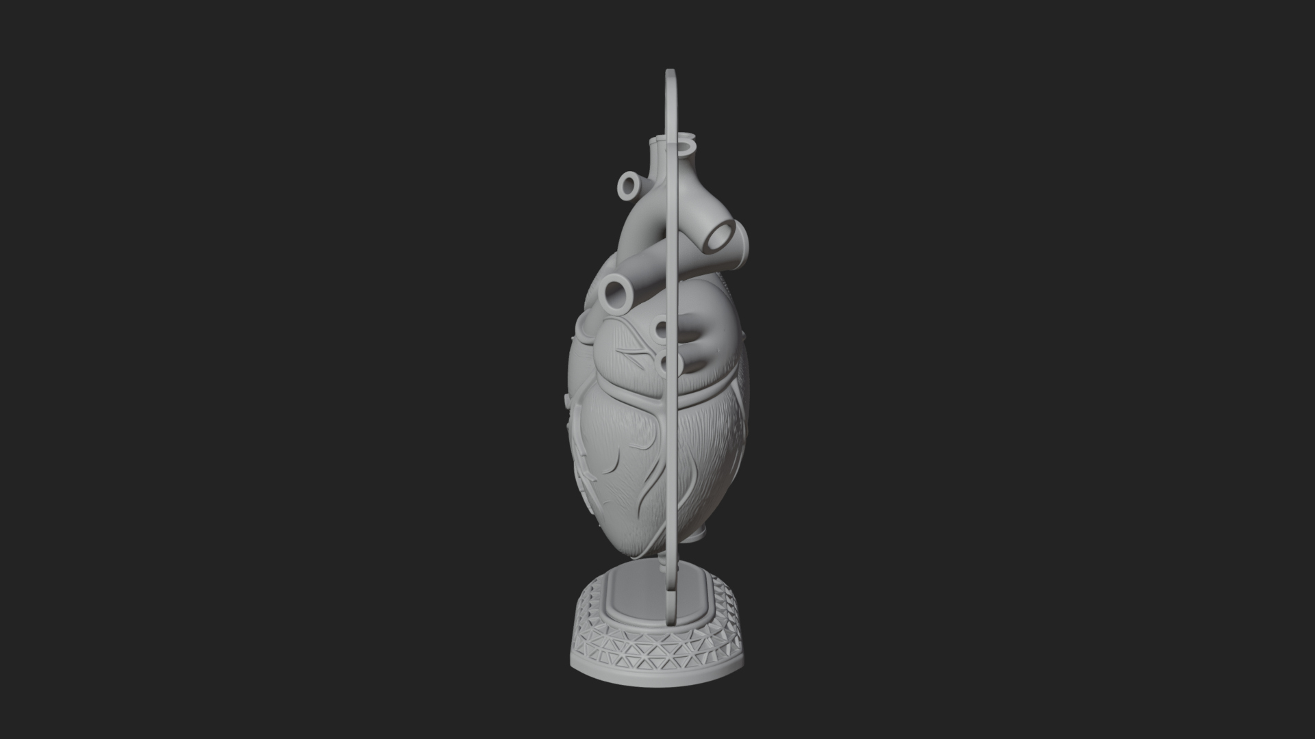 Anatomical Human Heart Model Design 25 3D Print Model 3D Model