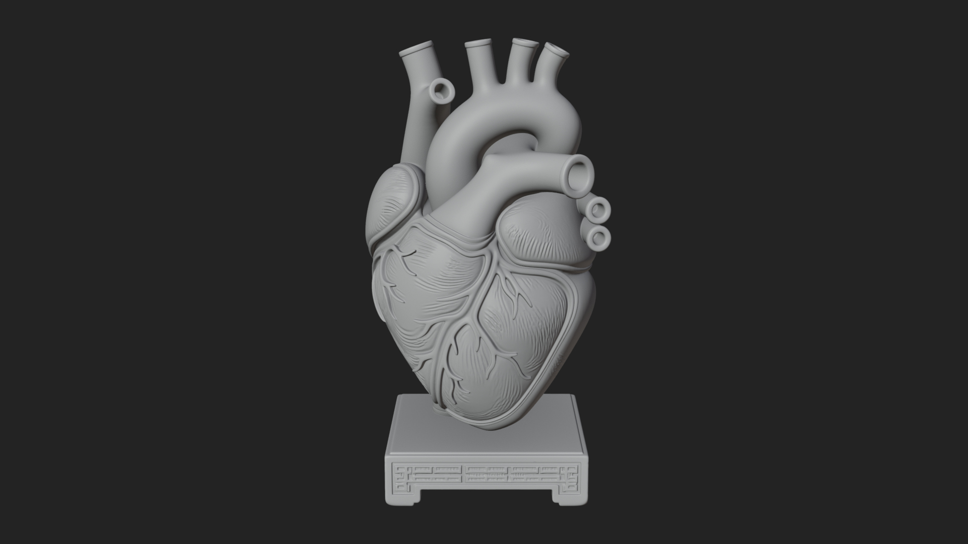 Anatomical Human Heart Model Design 26 3D Print Model 3D Model