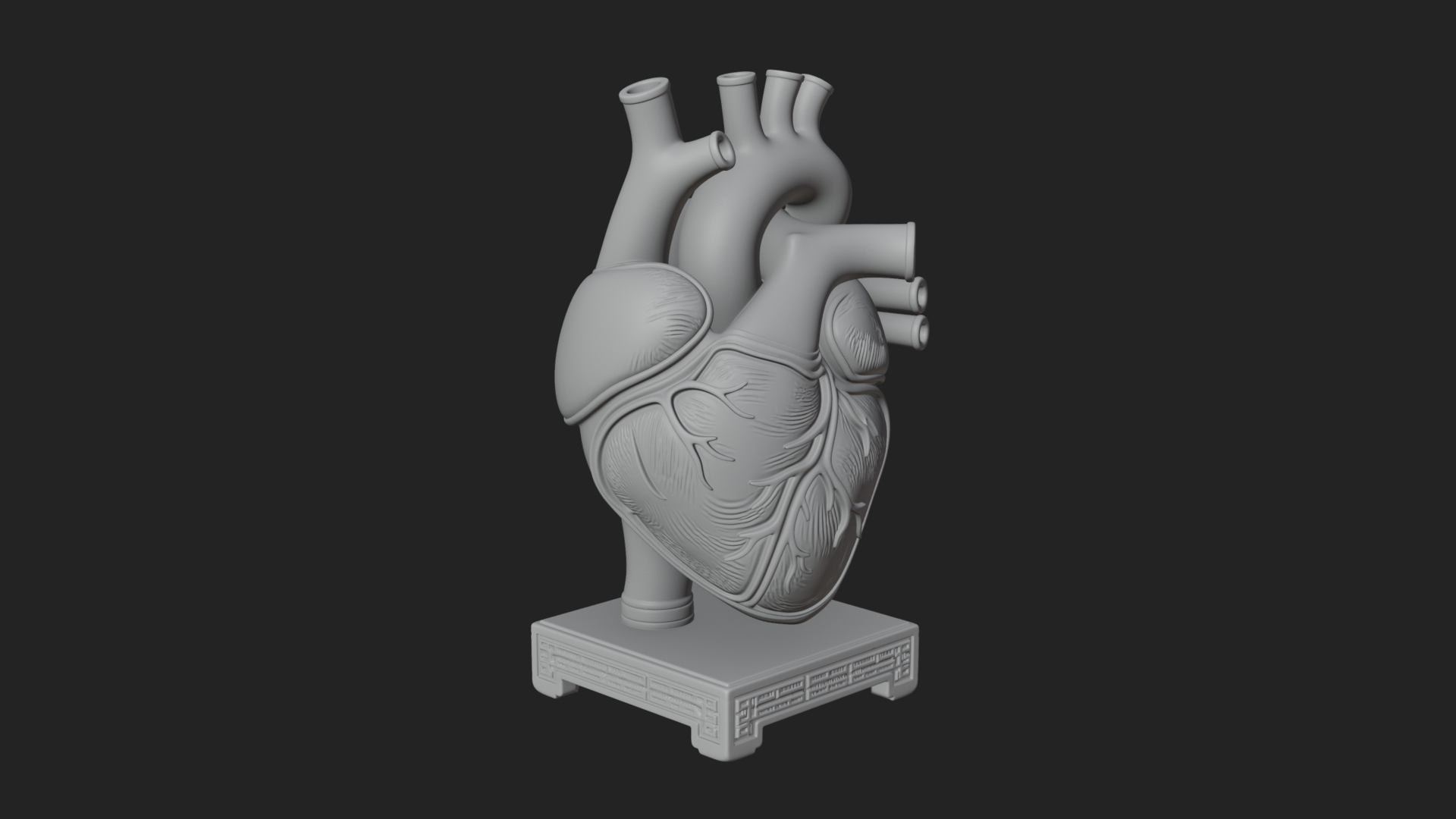Anatomical Human Heart Model Design 26 3D Print Model 3D Model