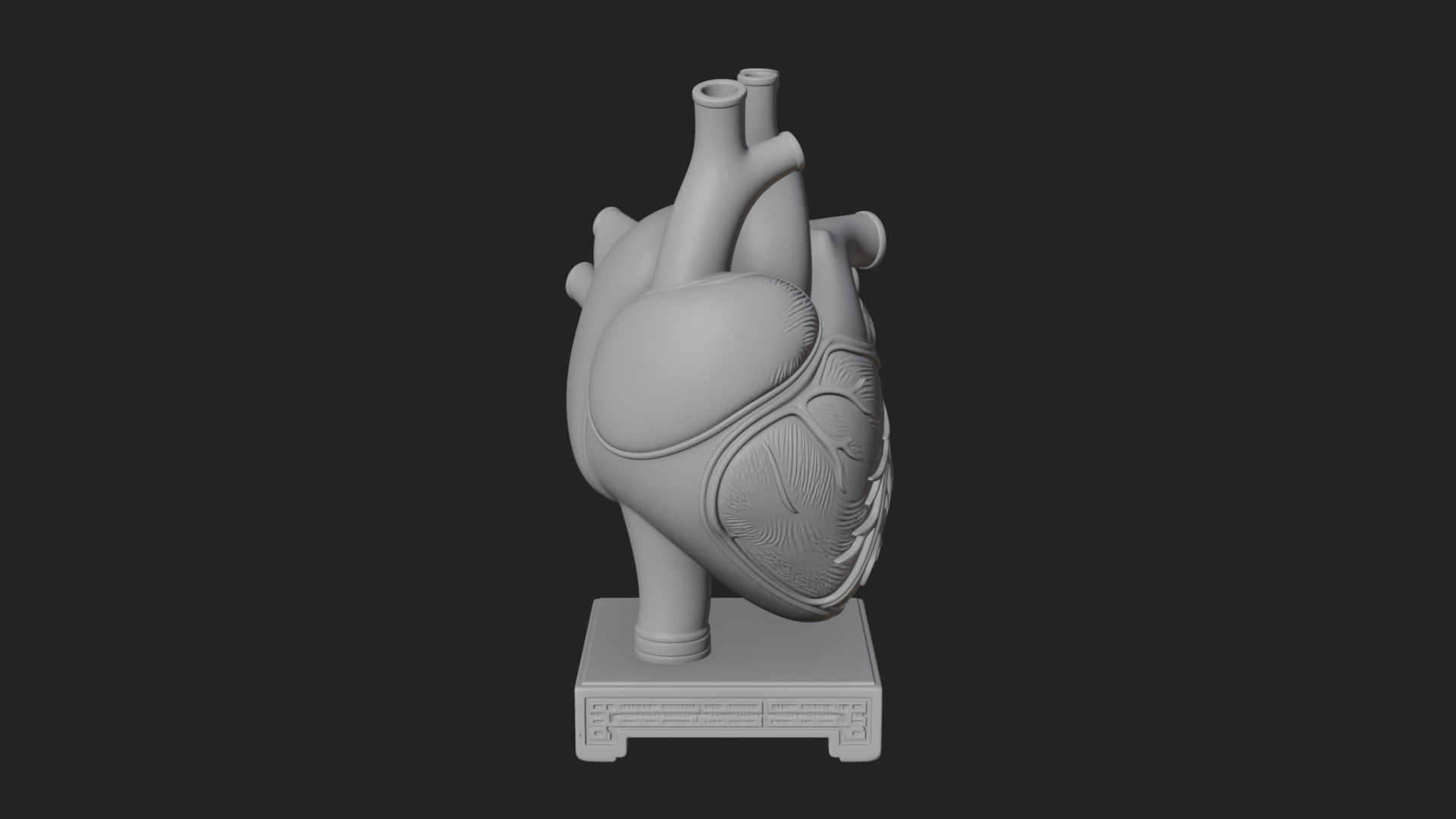 Anatomical Human Heart Model Design 26 3D Print Model 3D Model