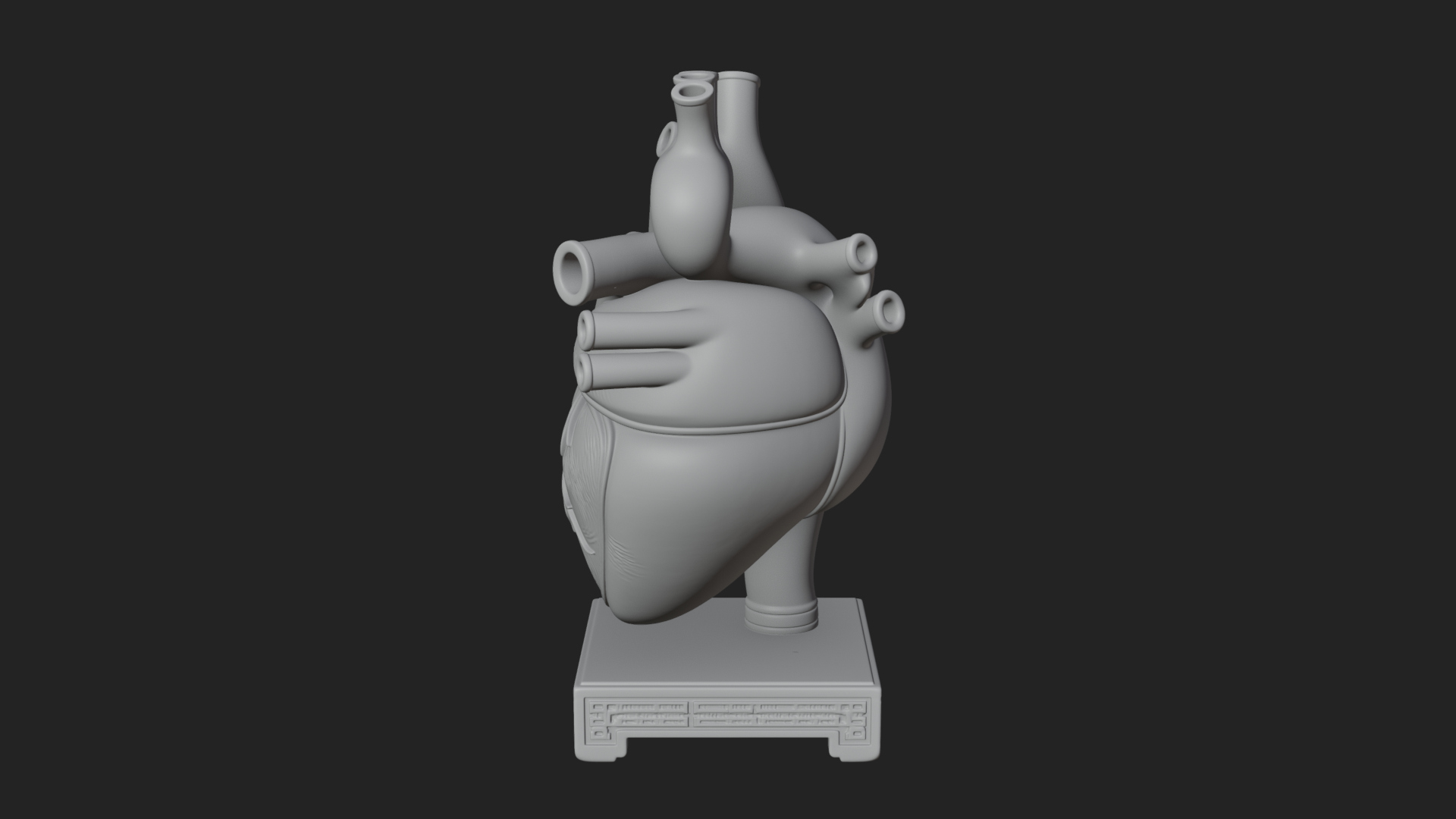 Anatomical Human Heart Model Design 26 3D Print Model 3D Model
