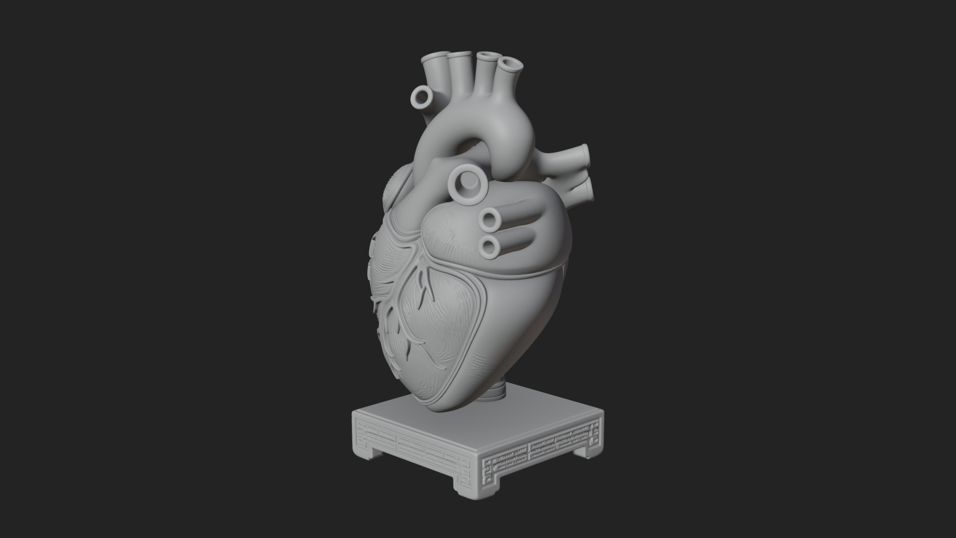 Anatomical Human Heart Model Design 26 3D Print Model 3D Model