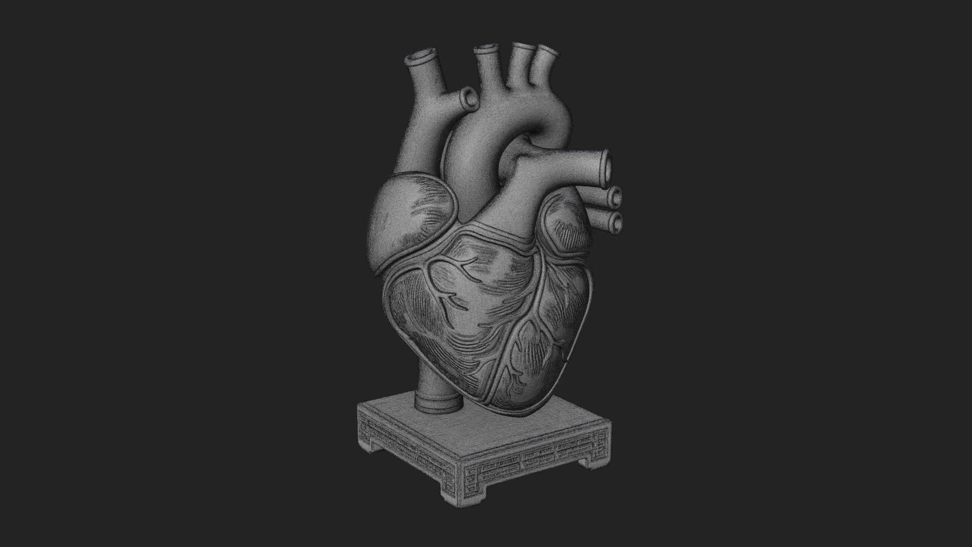 Anatomical Human Heart Model Design 26 3D Print Model 3D Model