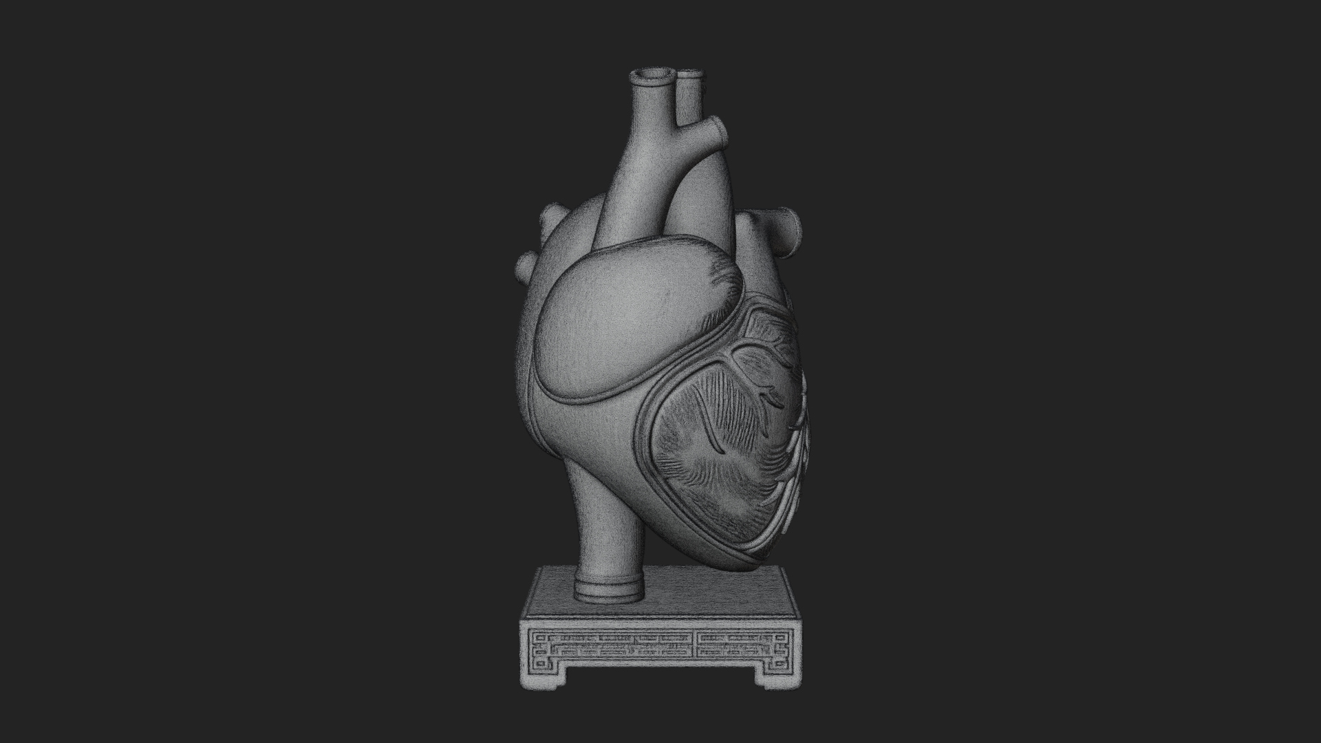 Anatomical Human Heart Model Design 26 3D Print Model 3D Model