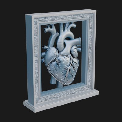 Anatomical Human Heart Model Design 28 3D Print Model