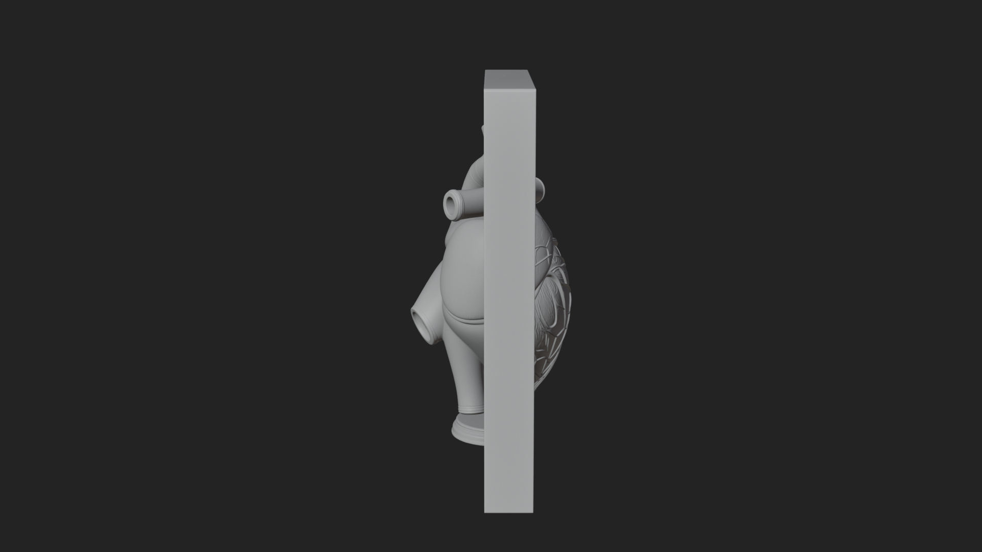 Anatomical Human Heart Model Design 29 3D Print Model 3D Model