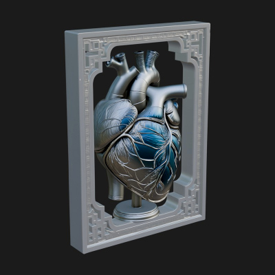 Anatomical Human Heart Model Design 29 3D Print Model