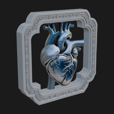 Anatomical Human Heart Model Design 30 3D Print Model