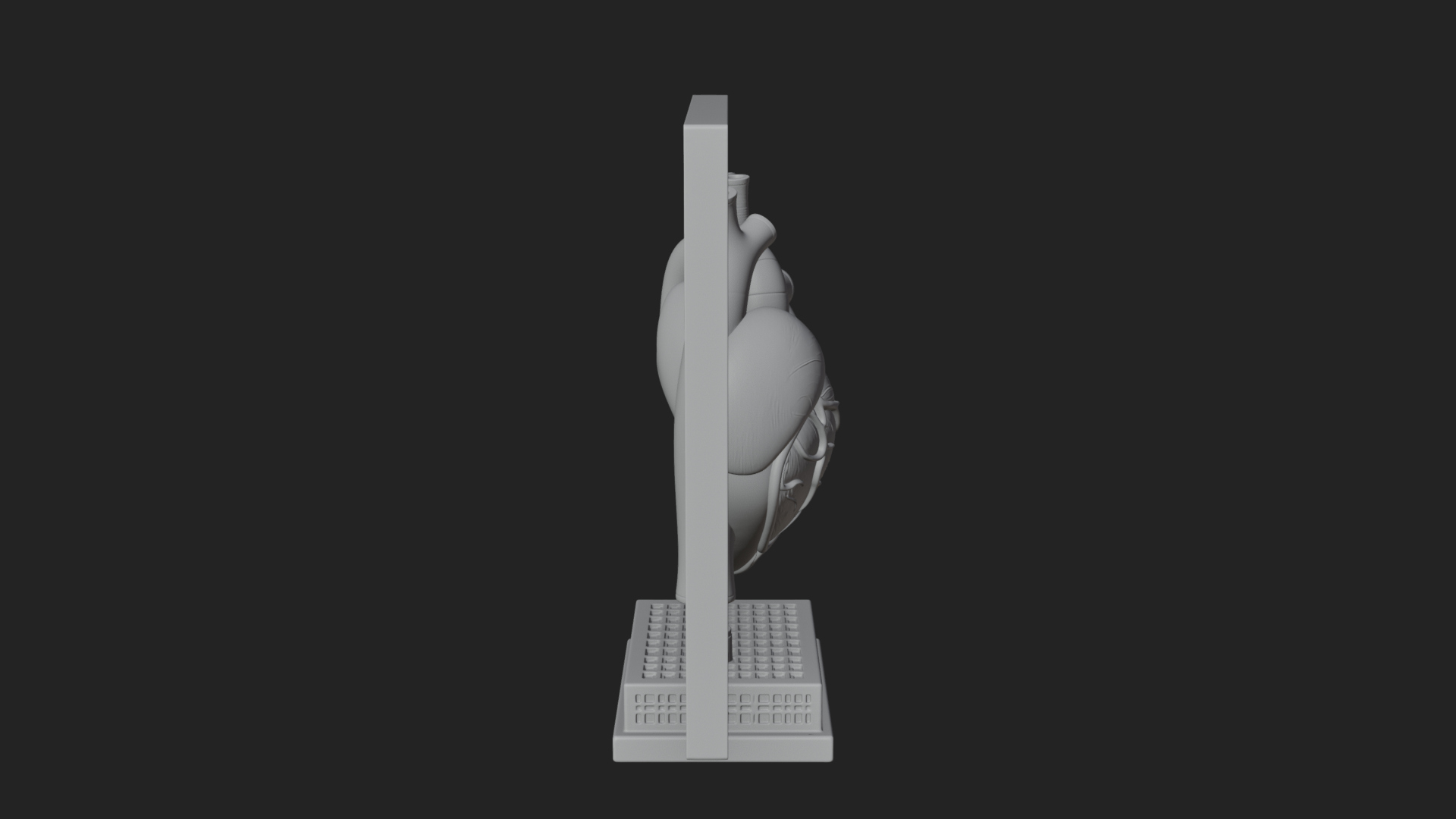 Anatomical Human Heart Model Design 31 3D Print Model 3D Model