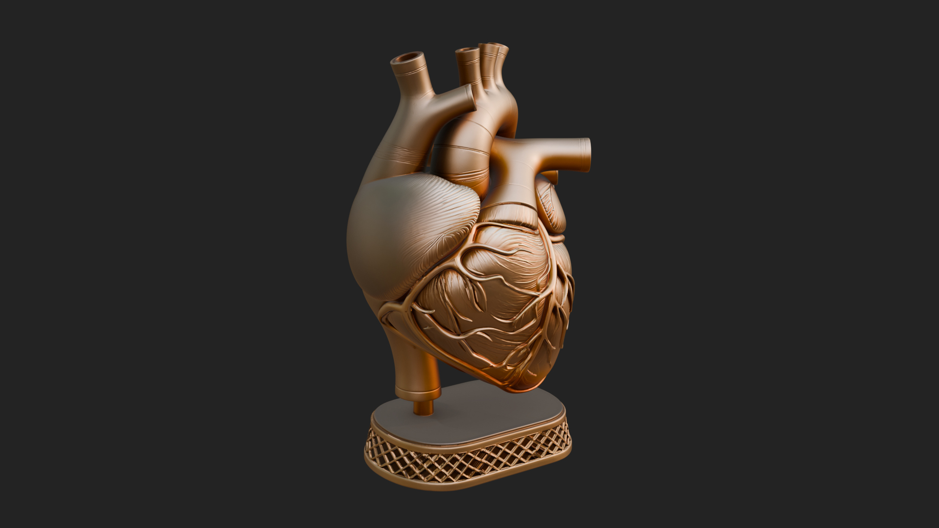 Anatomical Human Heart Model Design 32 3D Print Model 3D Model