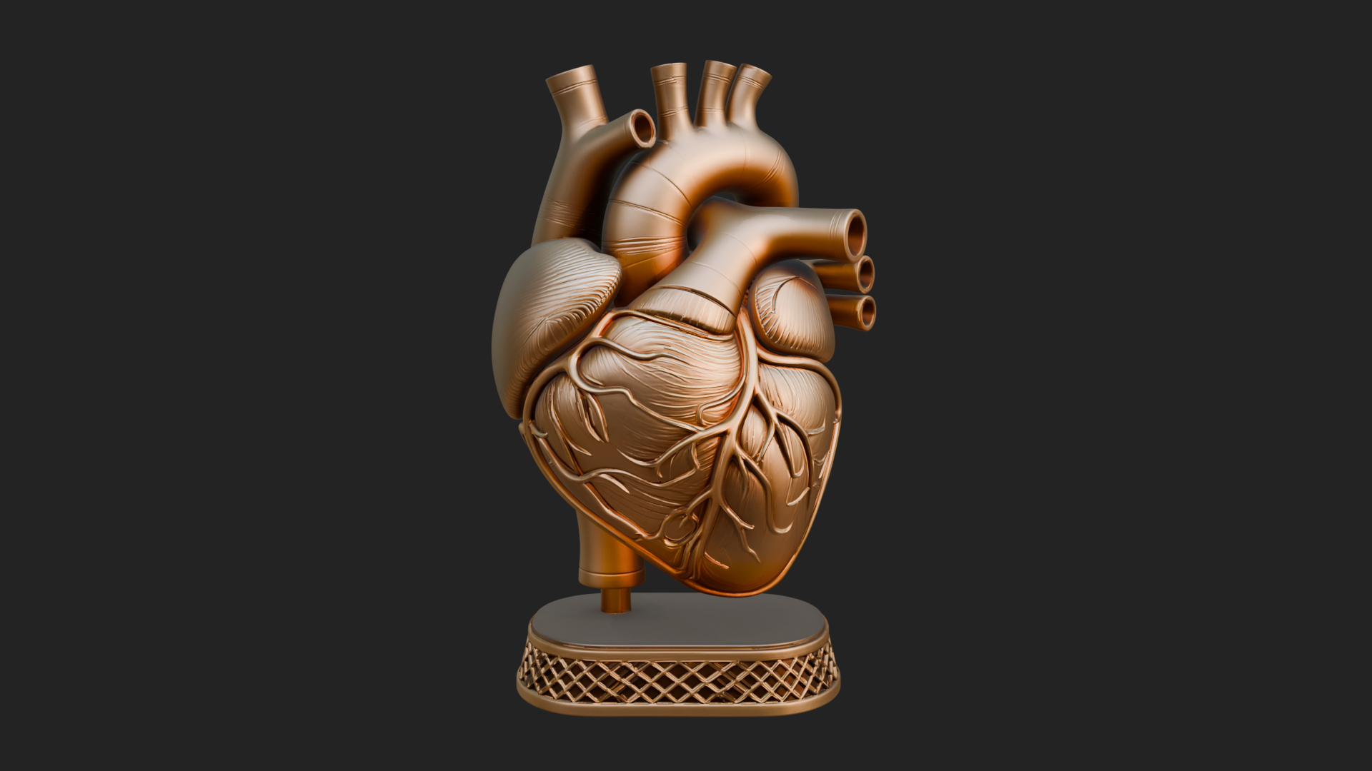 Anatomical Human Heart Model Design 32 3D Print Model 3D Model