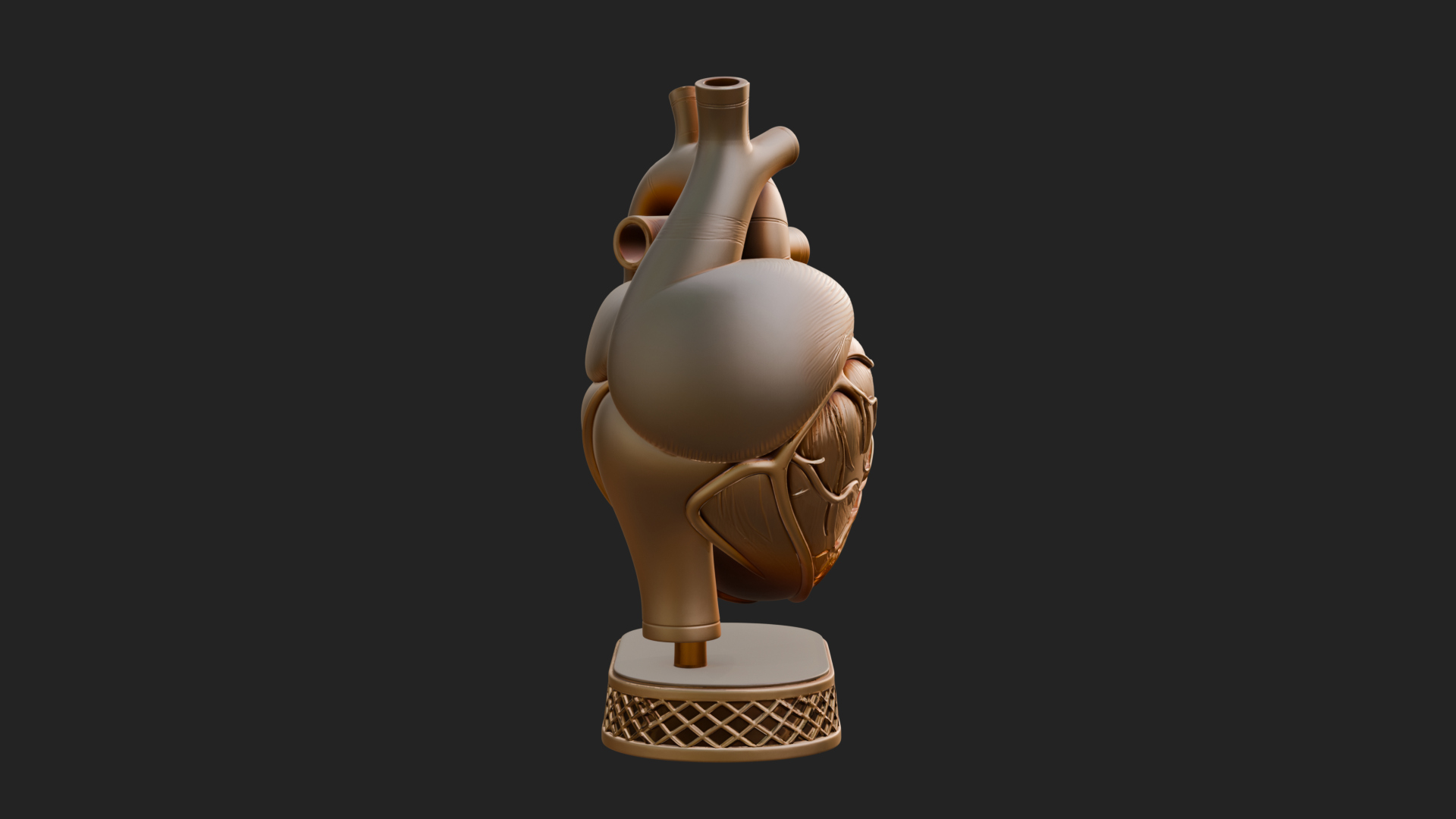 Anatomical Human Heart Model Design 32 3D Print Model 3D Model