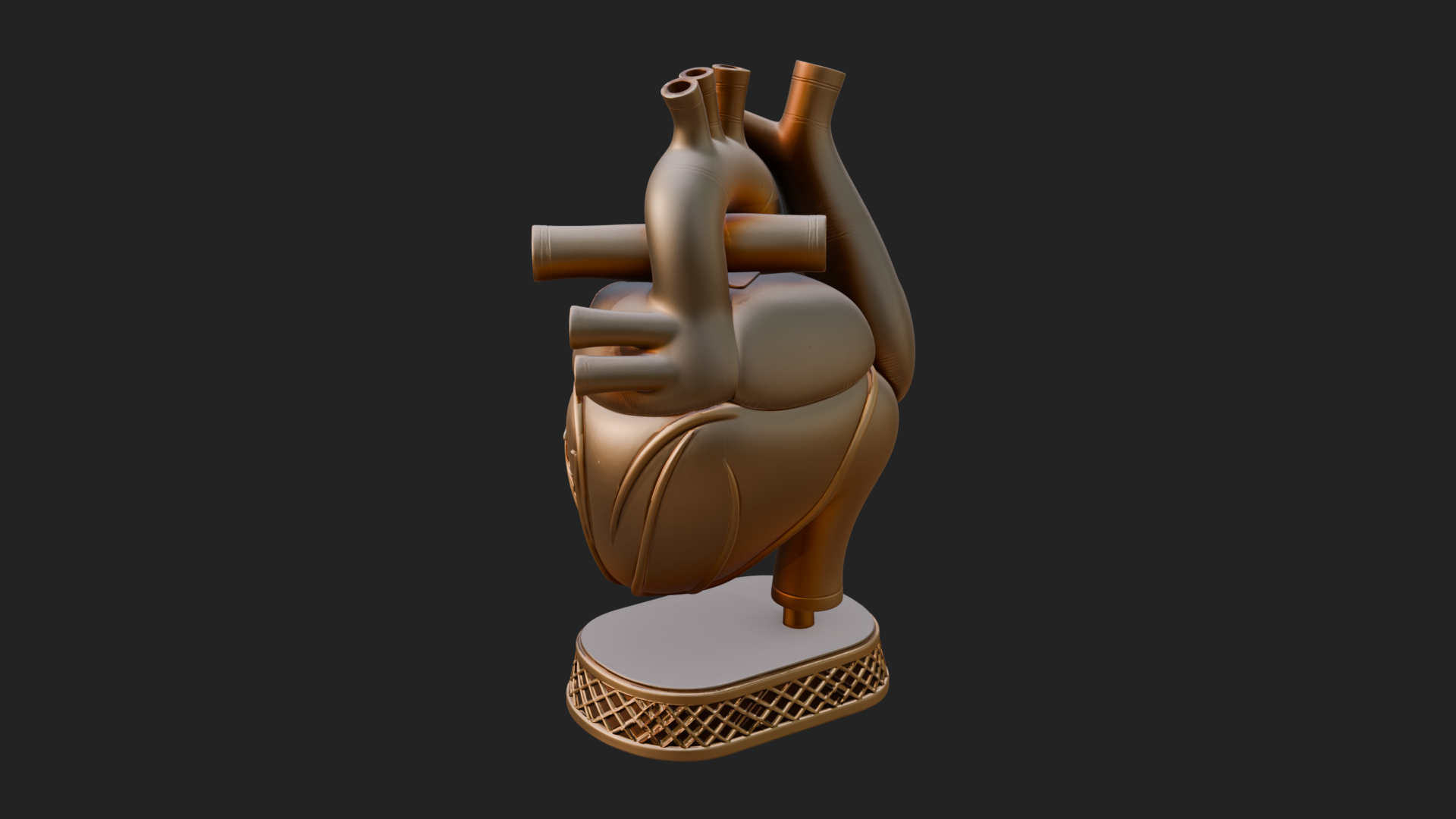 Anatomical Human Heart Model Design 32 3D Print Model 3D Model