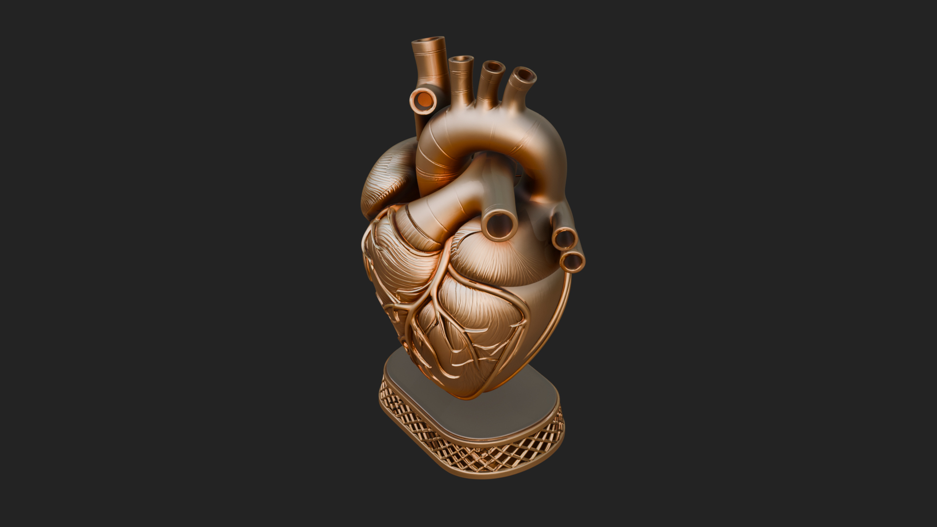 Anatomical Human Heart Model Design 32 3D Print Model 3D Model