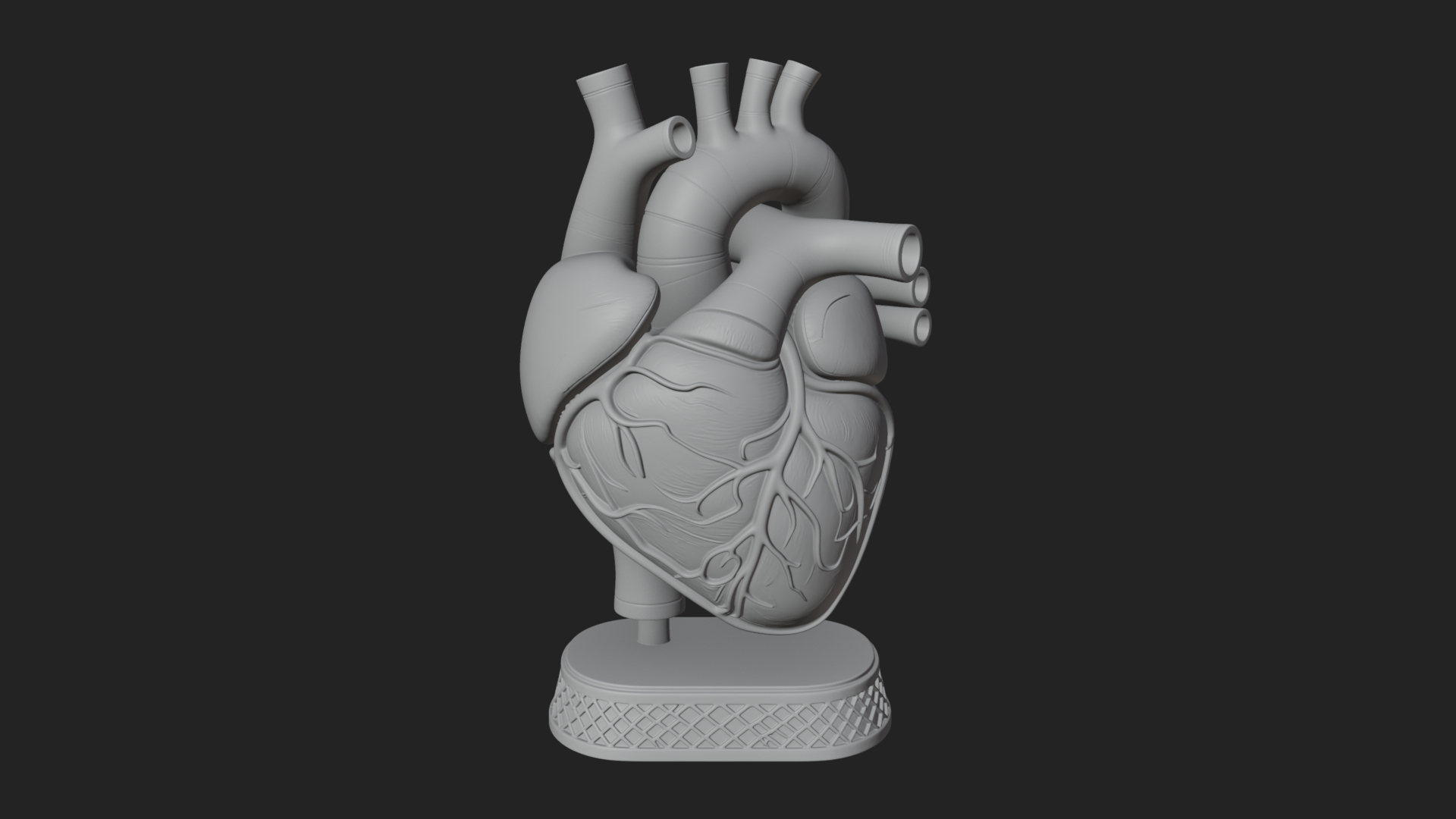 Anatomical Human Heart Model Design 32 3D Print Model 3D Model
