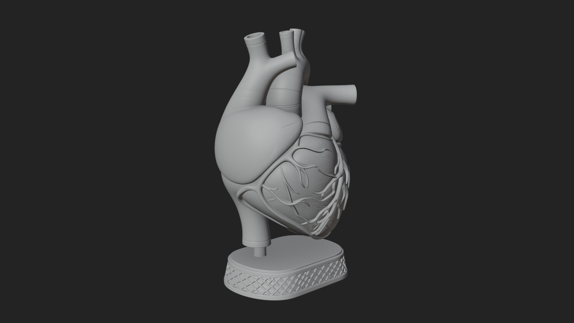Anatomical Human Heart Model Design 32 3D Print Model 3D Model