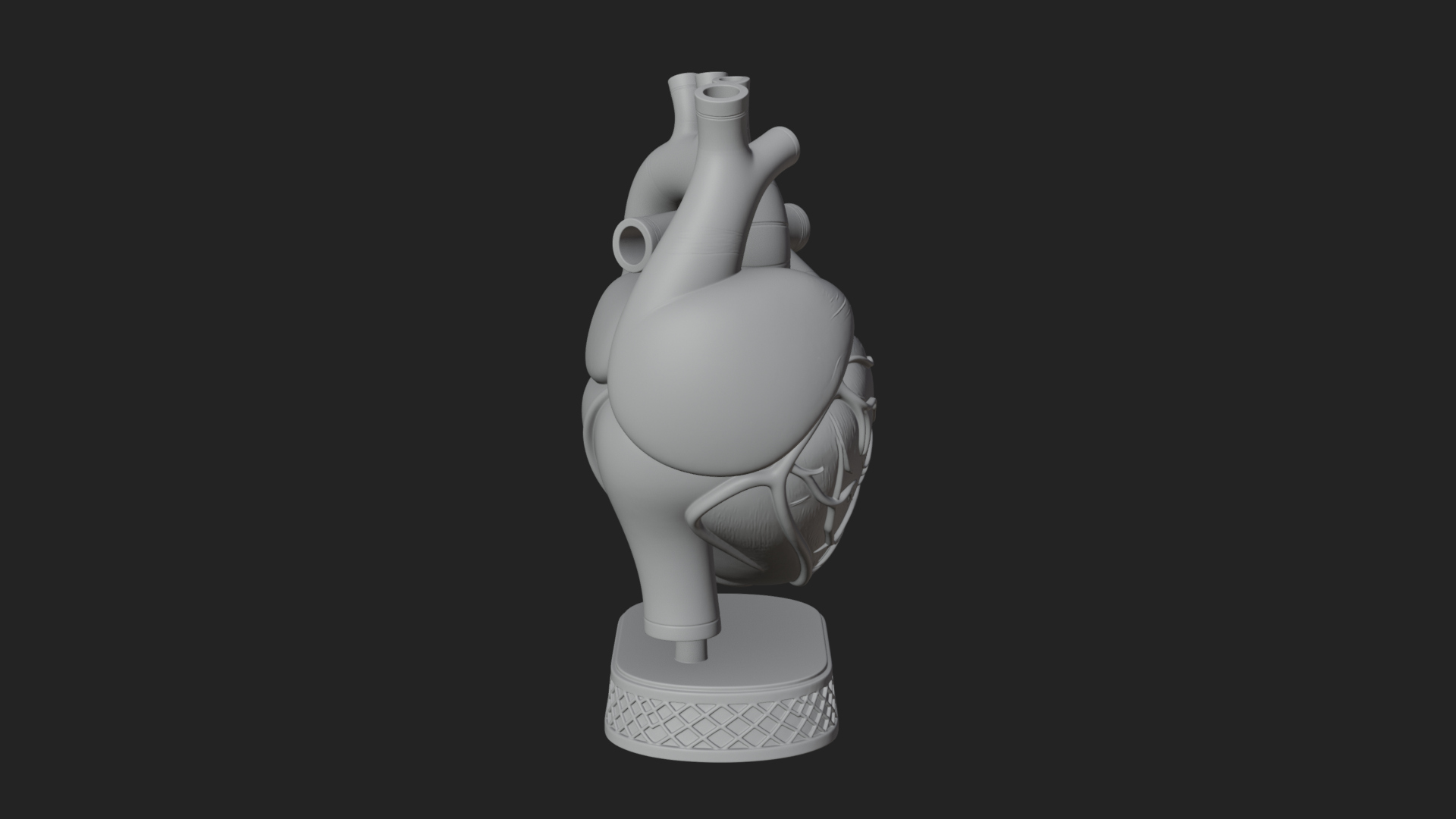 Anatomical Human Heart Model Design 32 3D Print Model 3D Model