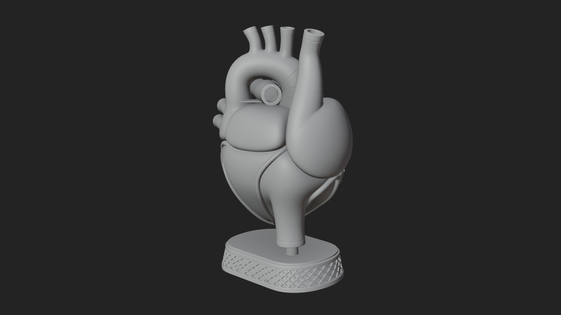 Anatomical Human Heart Model Design 32 3D Print Model 3D Model
