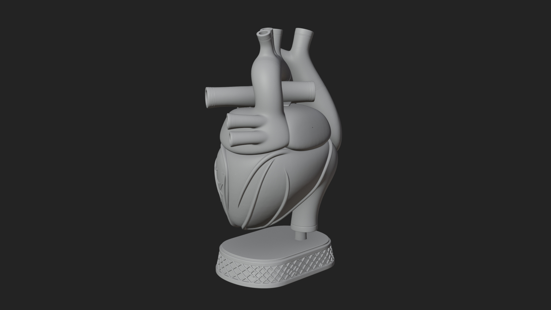 Anatomical Human Heart Model Design 32 3D Print Model 3D Model