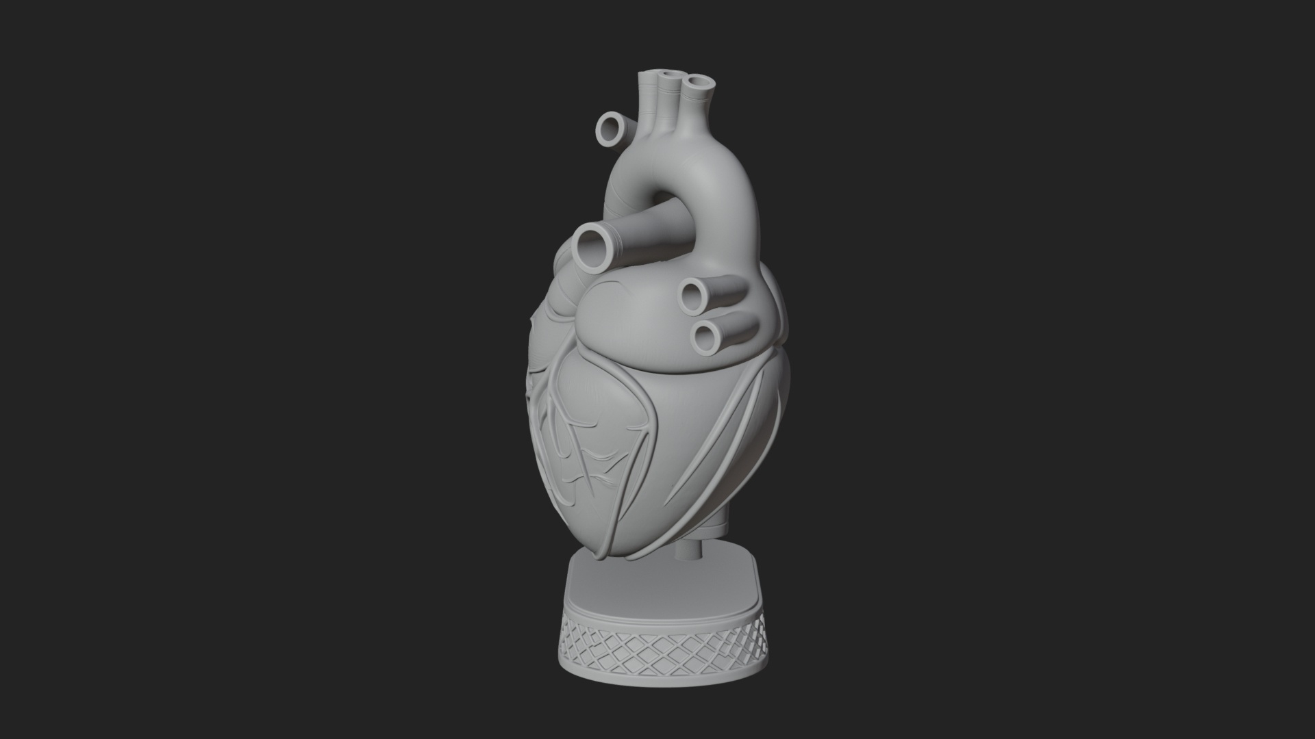 Anatomical Human Heart Model Design 32 3D Print Model 3D Model