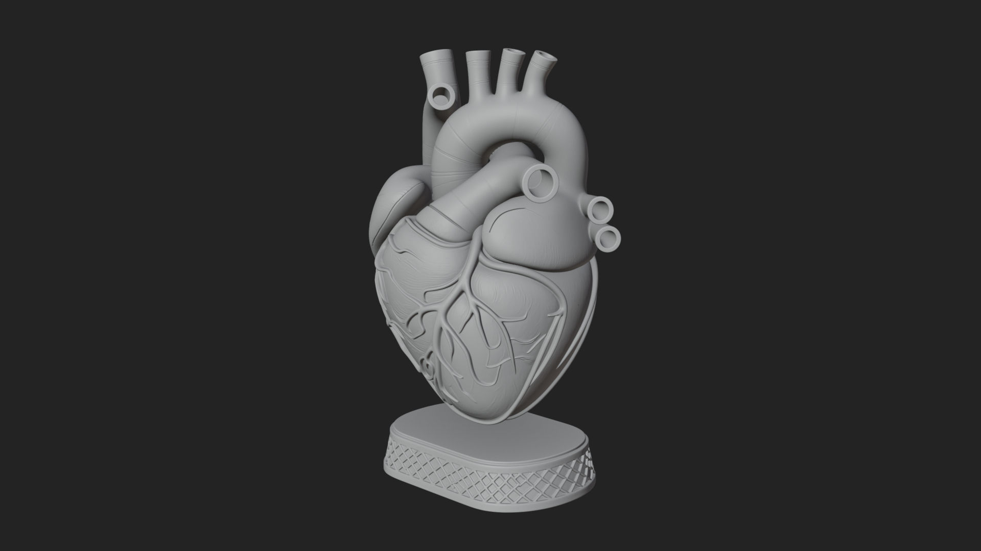 Anatomical Human Heart Model Design 32 3D Print Model 3D Model