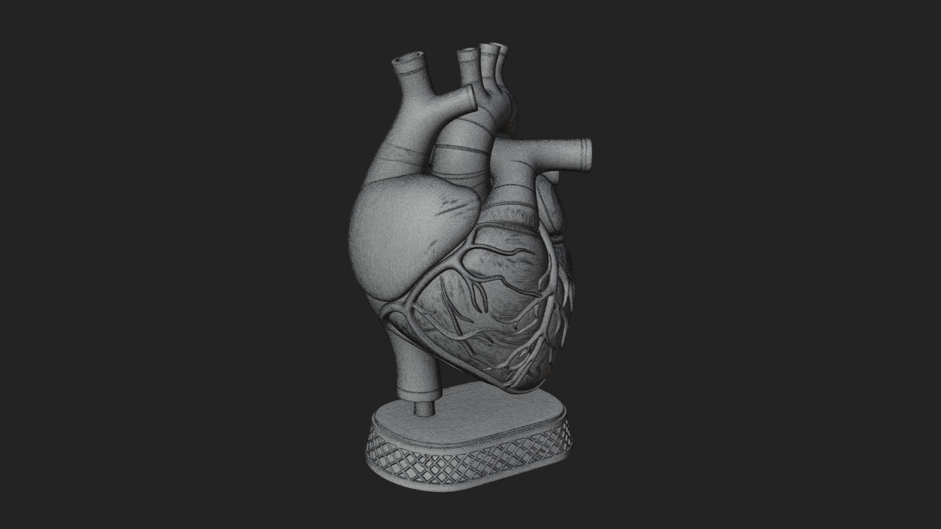 Anatomical Human Heart Model Design 32 3D Print Model 3D Model