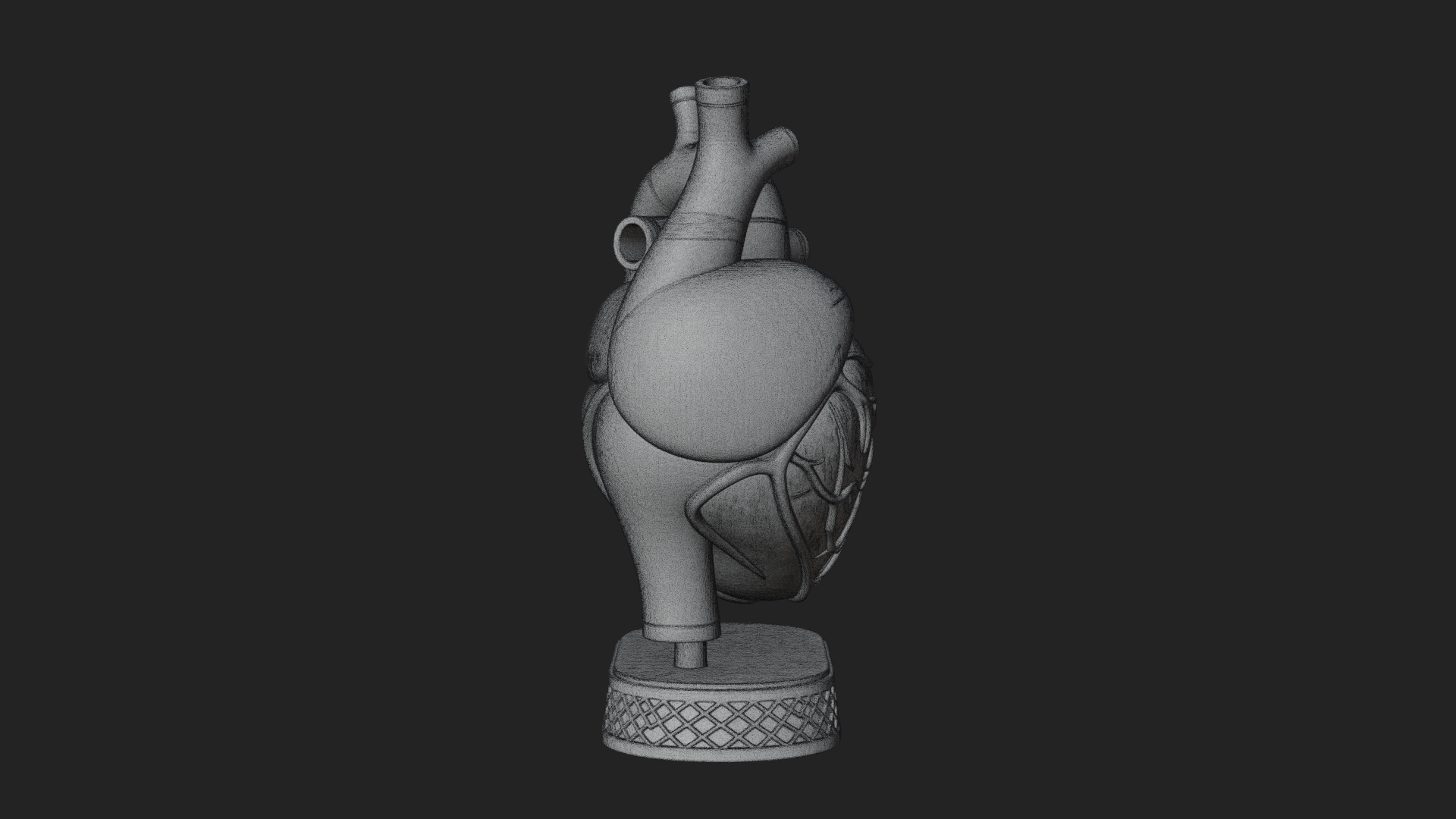 Anatomical Human Heart Model Design 32 3D Print Model 3D Model