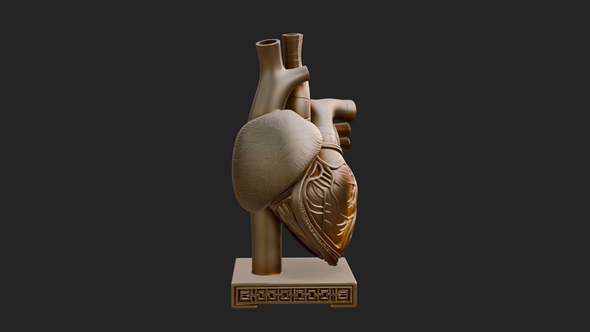 Anatomical Human Heart Model Design 33 3D Print Model 3D Model
