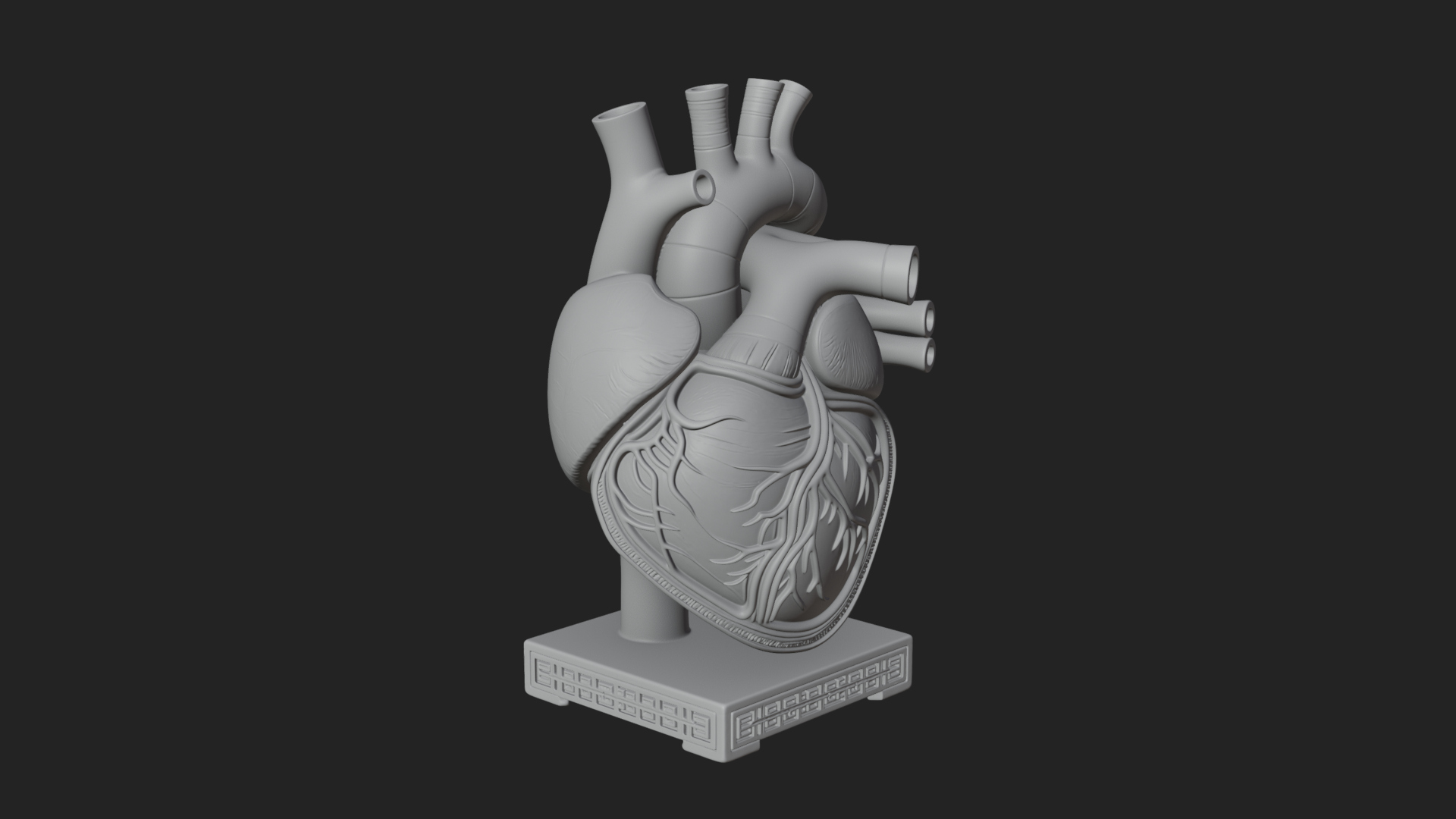 Anatomical Human Heart Model Design 33 3D Print Model 3D Model