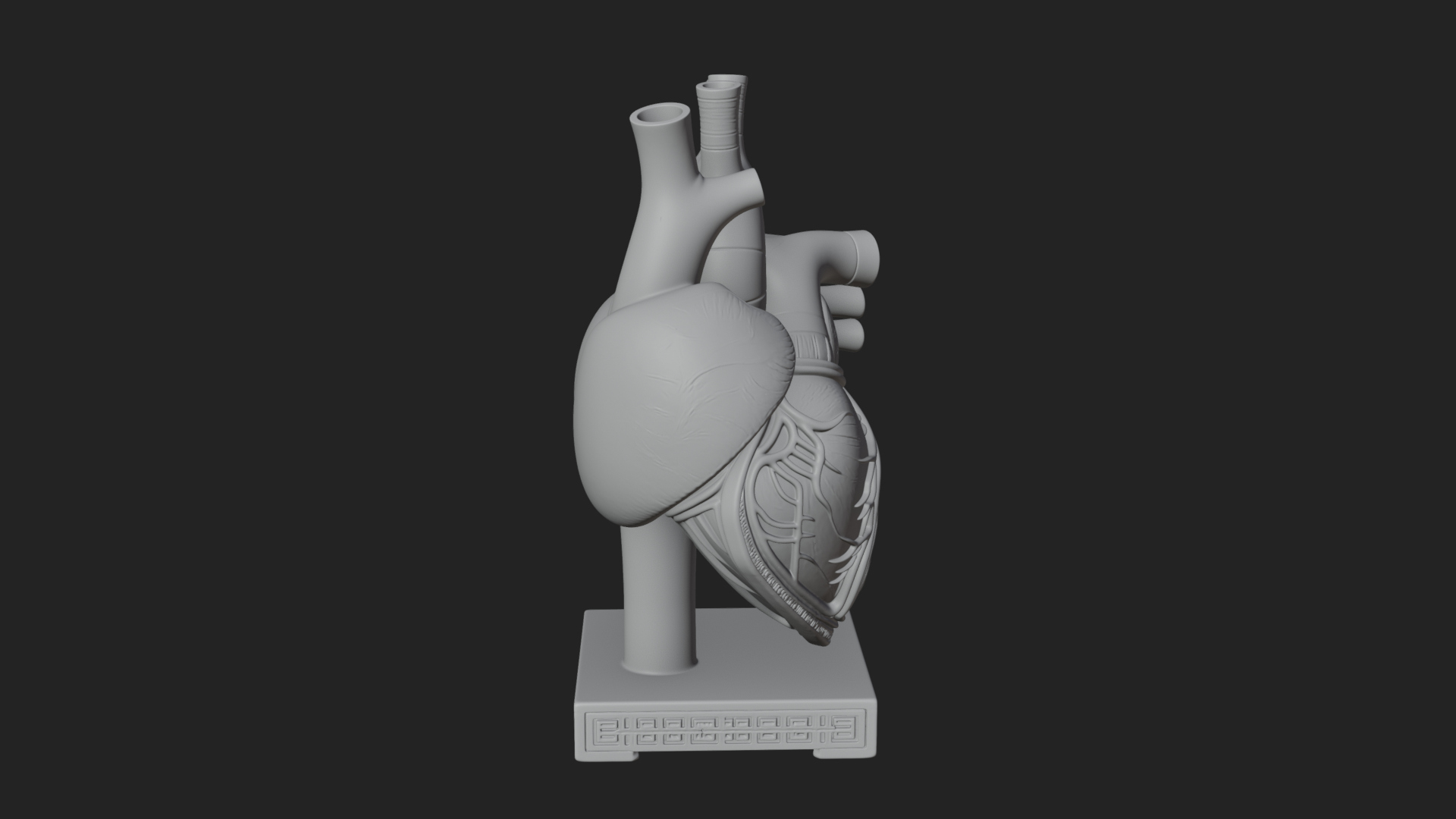 Anatomical Human Heart Model Design 33 3D Print Model 3D Model