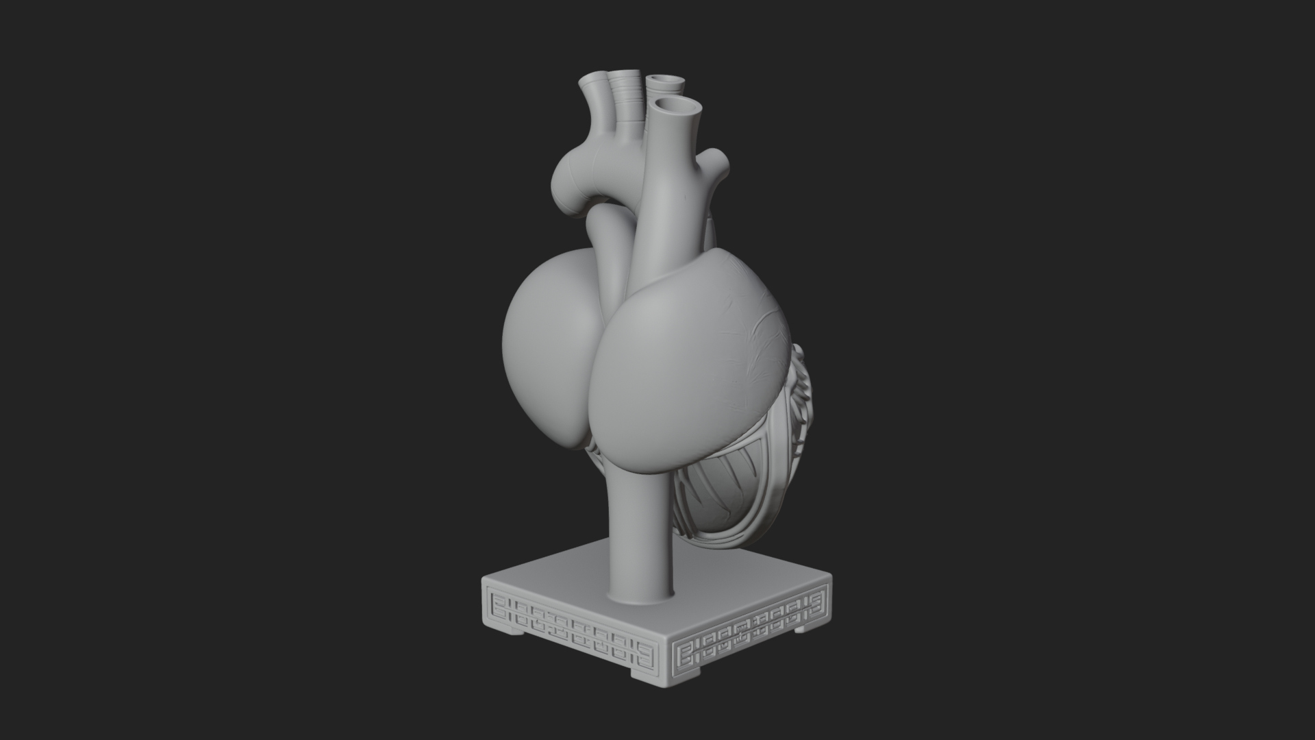 Anatomical Human Heart Model Design 33 3D Print Model 3D Model