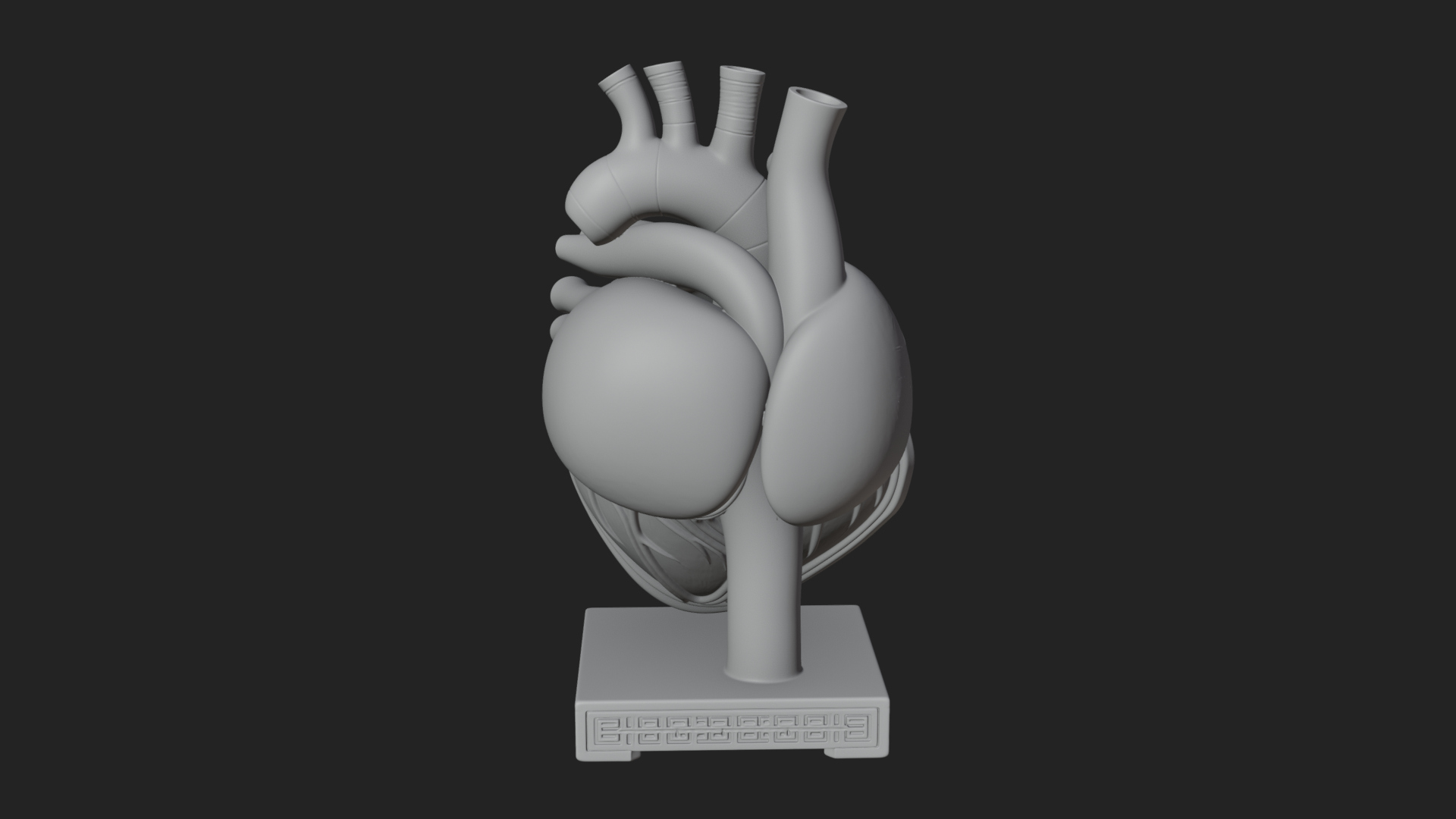 Anatomical Human Heart Model Design 33 3D Print Model 3D Model