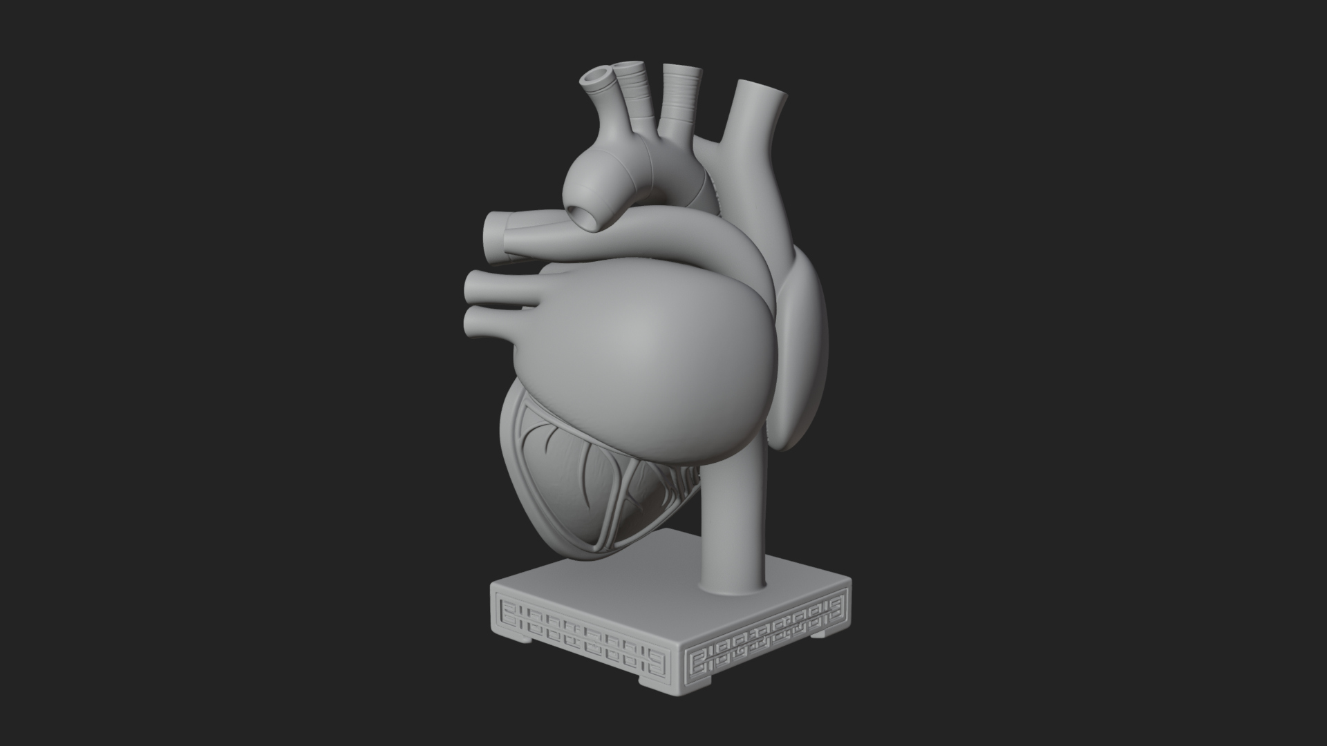 Anatomical Human Heart Model Design 33 3D Print Model 3D Model