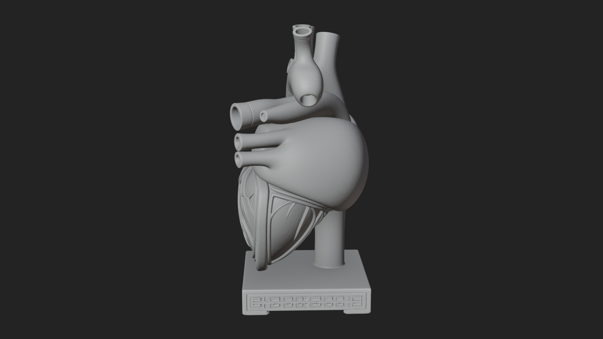 Anatomical Human Heart Model Design 33 3D Print Model 3D Model