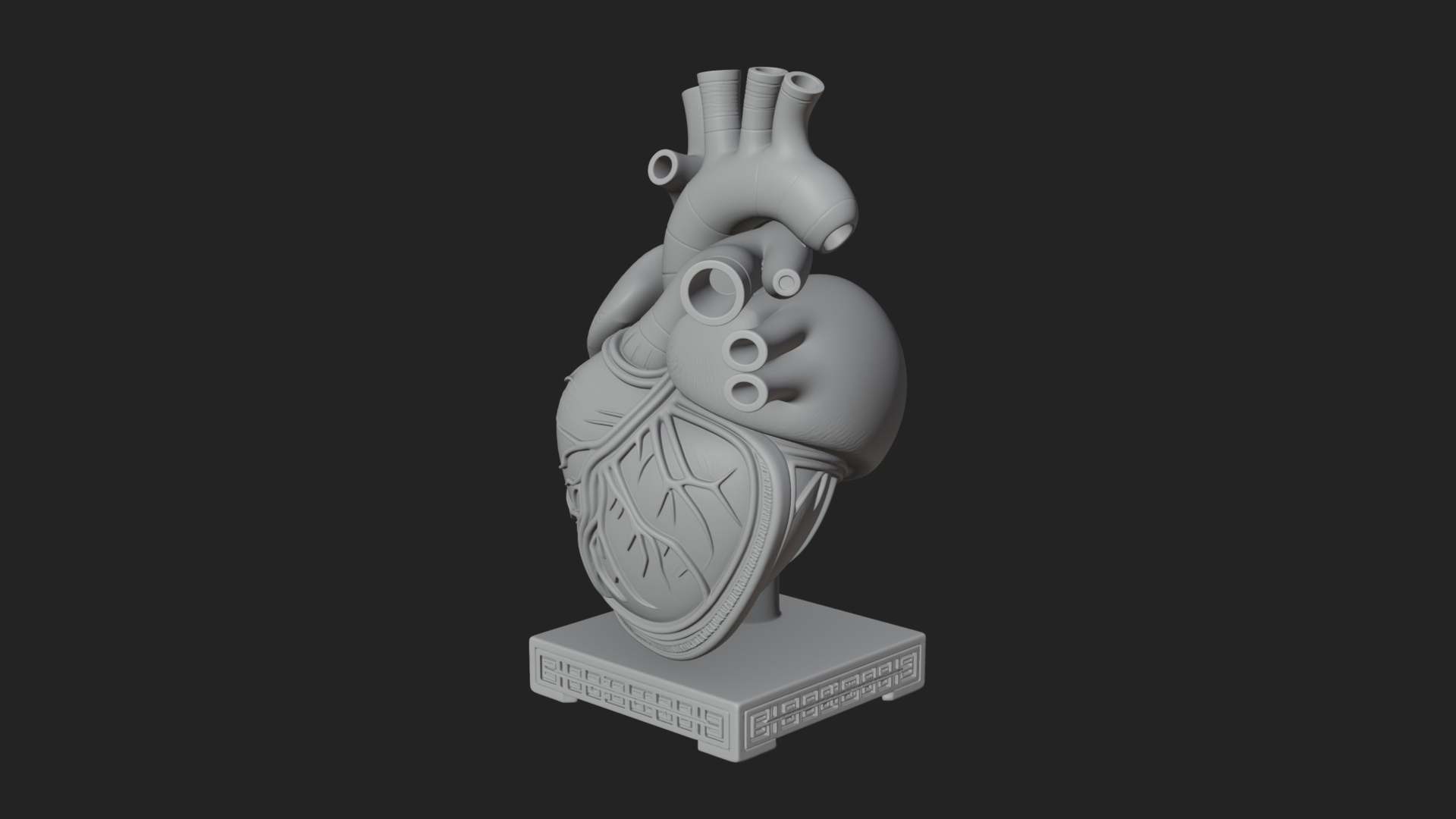 Anatomical Human Heart Model Design 33 3D Print Model 3D Model
