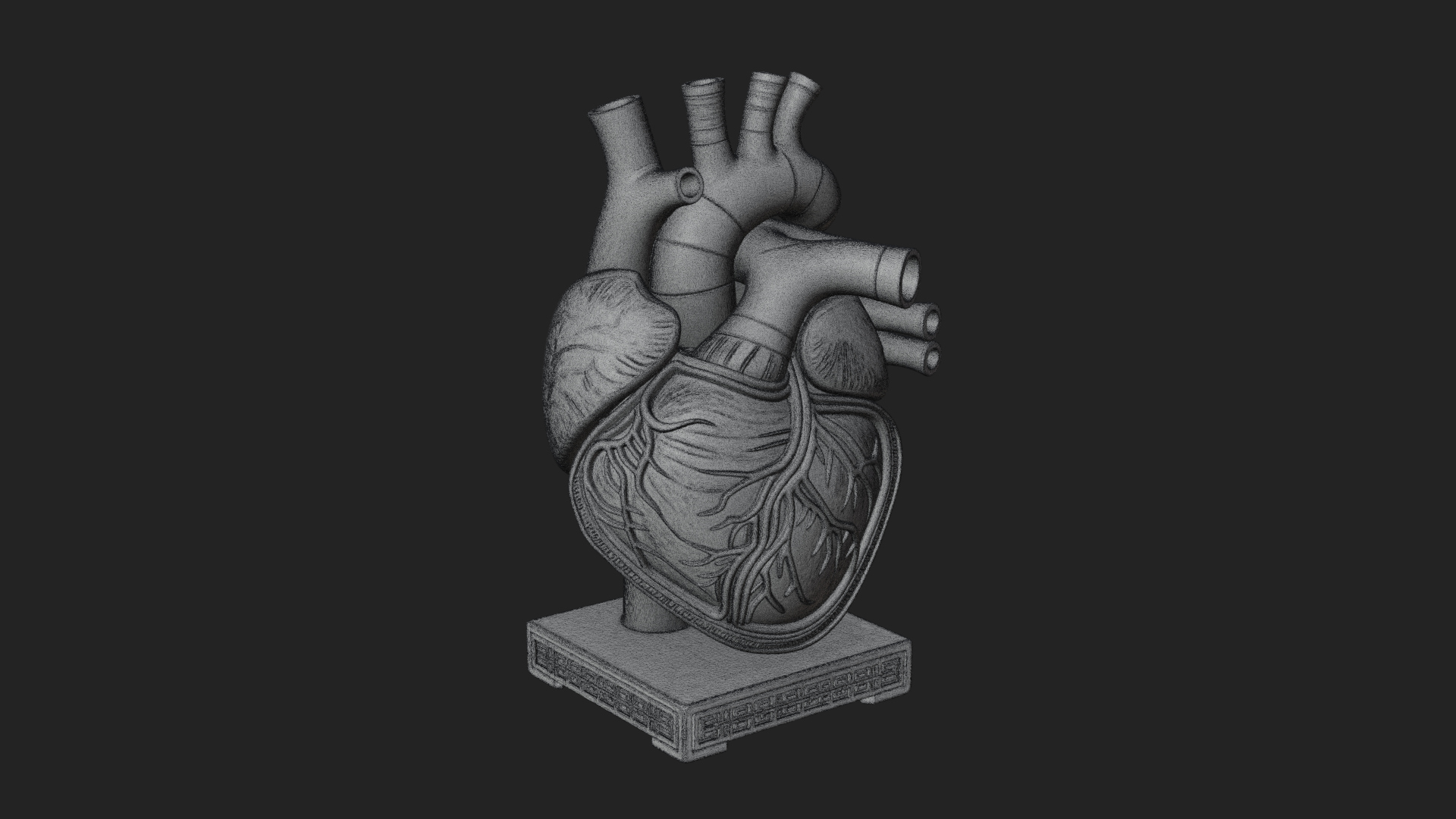Anatomical Human Heart Model Design 33 3D Print Model 3D Model