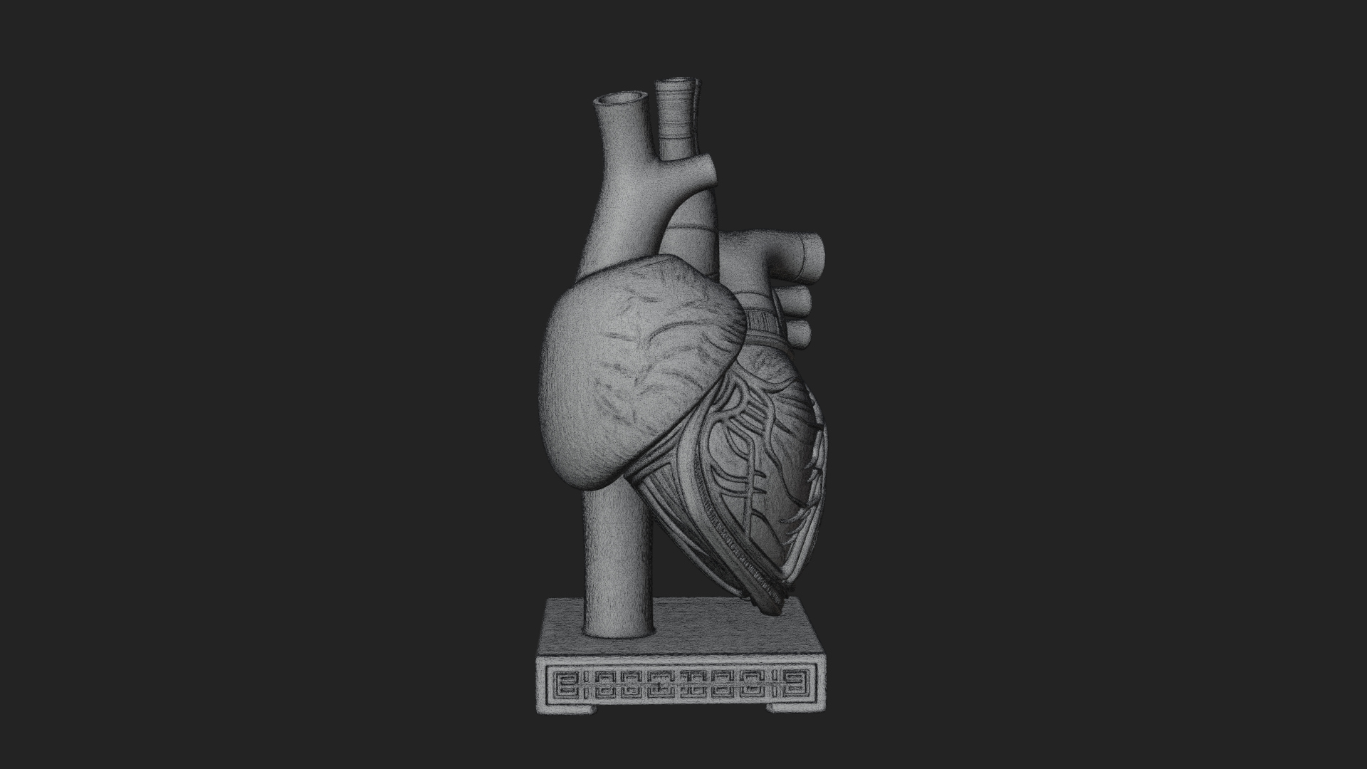 Anatomical Human Heart Model Design 33 3D Print Model 3D Model